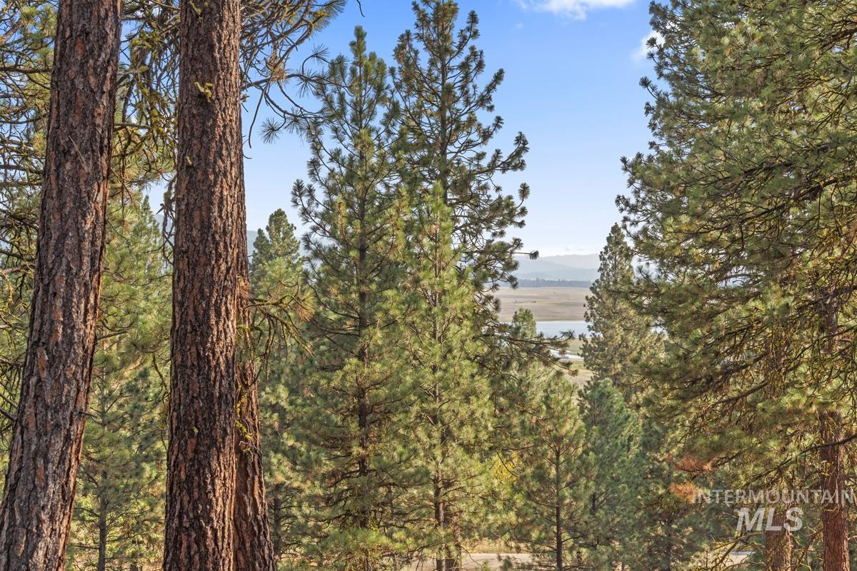 20 Joshua Drive, Cascade ID 83611
