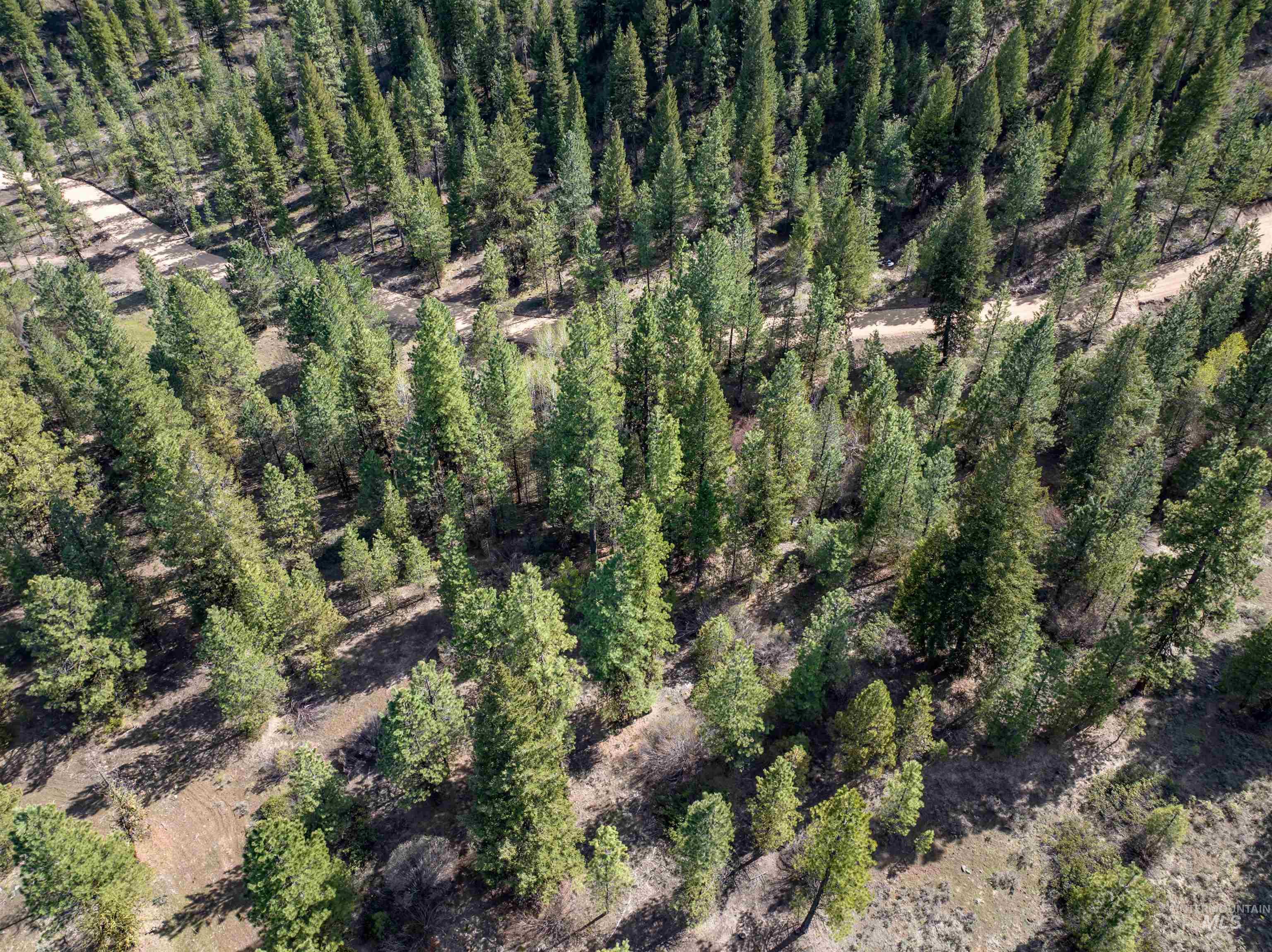 Lot 12 Star Creek Ct, Placerville ID 83636-6