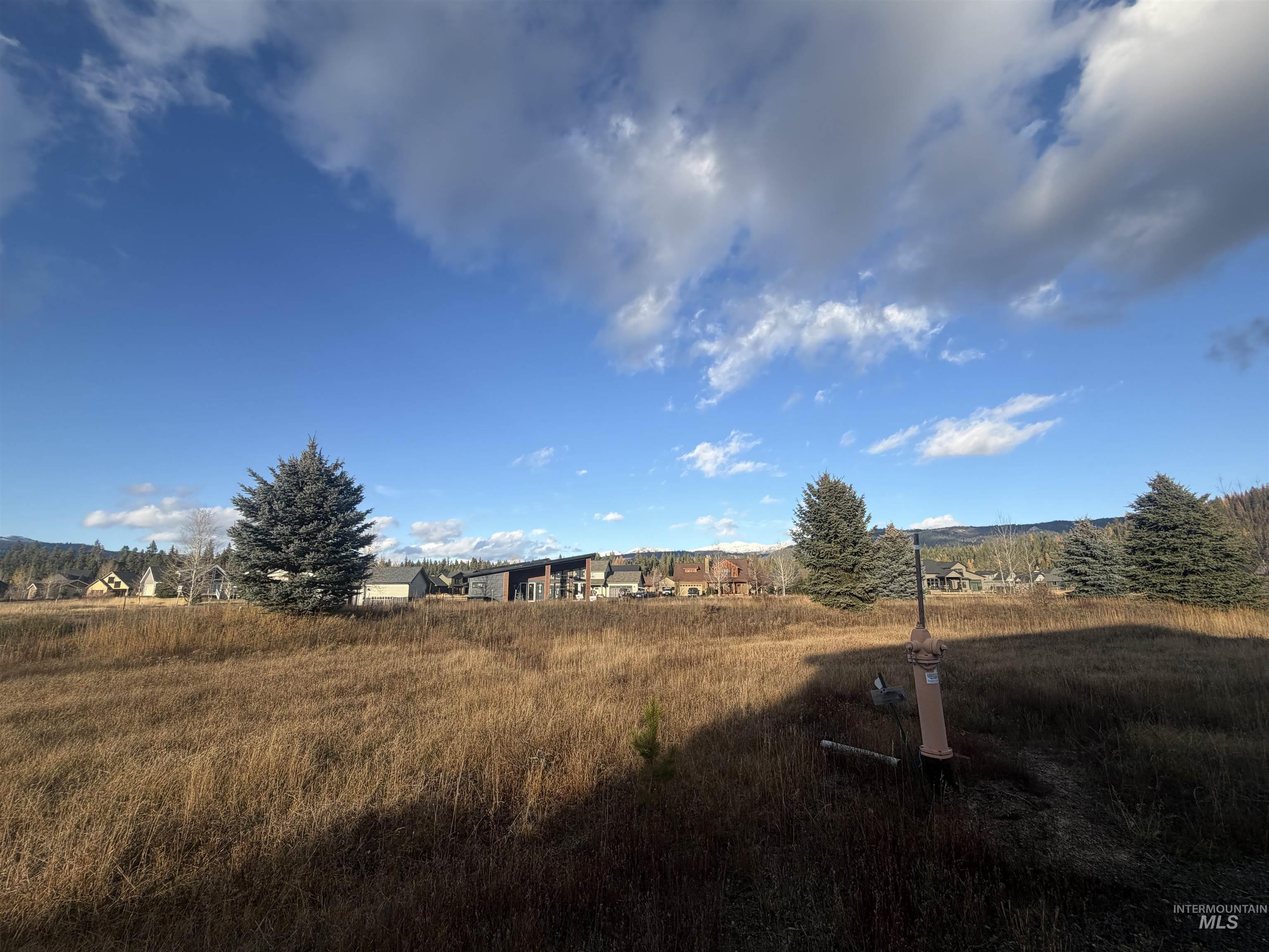 1643 Ginney Way, McCall ID 83638