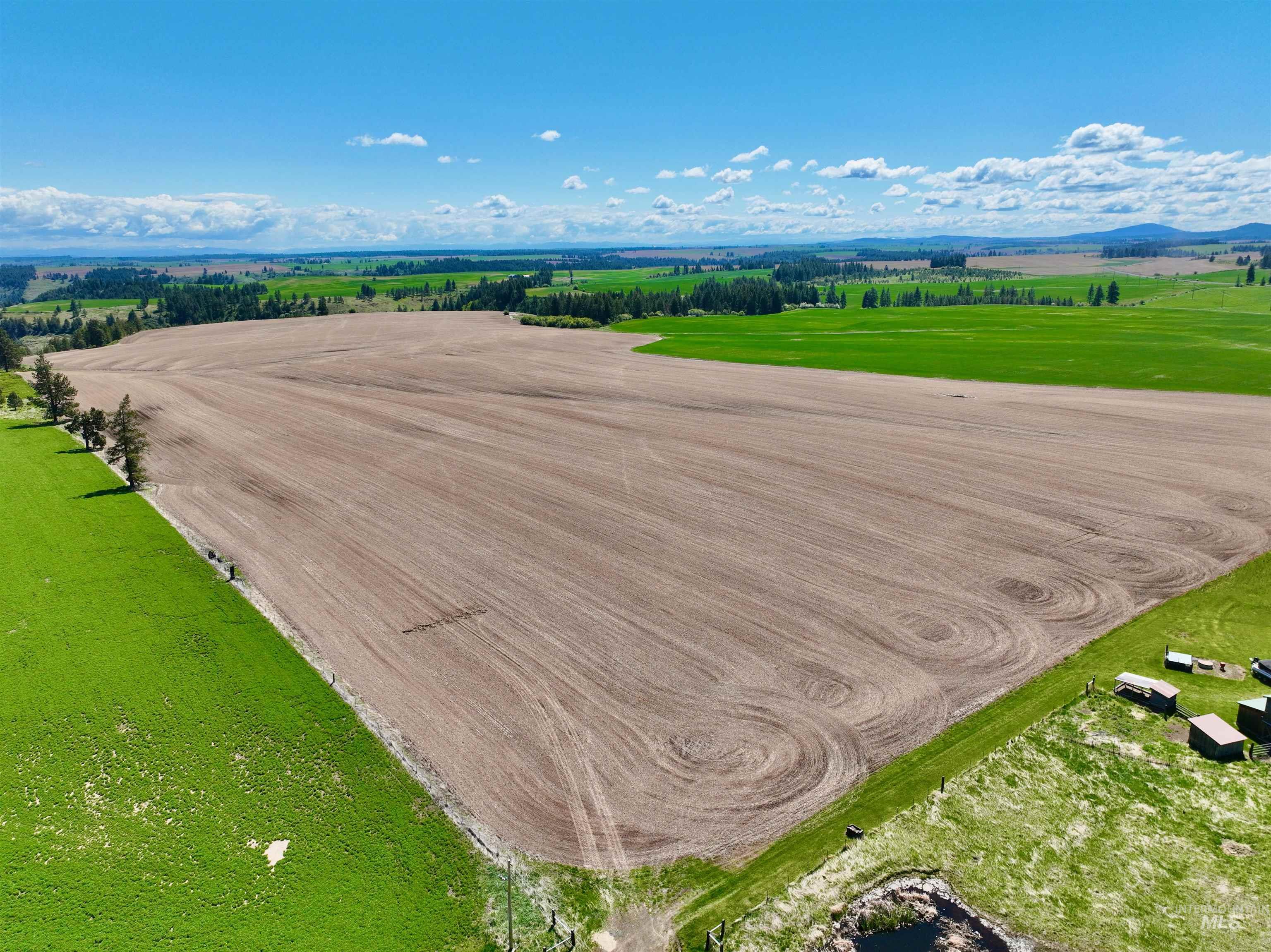 TBD Fowler Rd, Winchester ID 83555