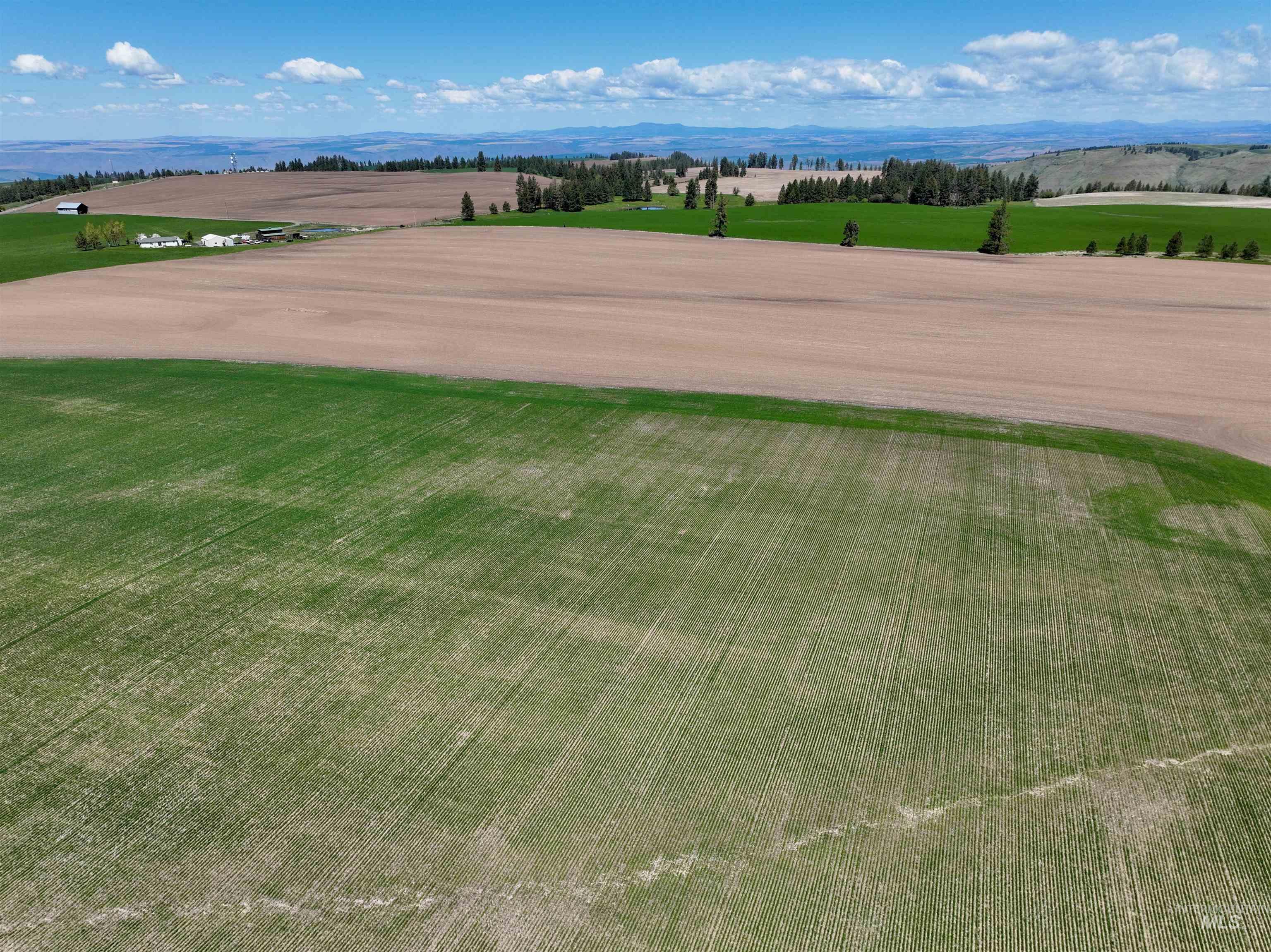 TBD Fowler Rd, Winchester ID 83555