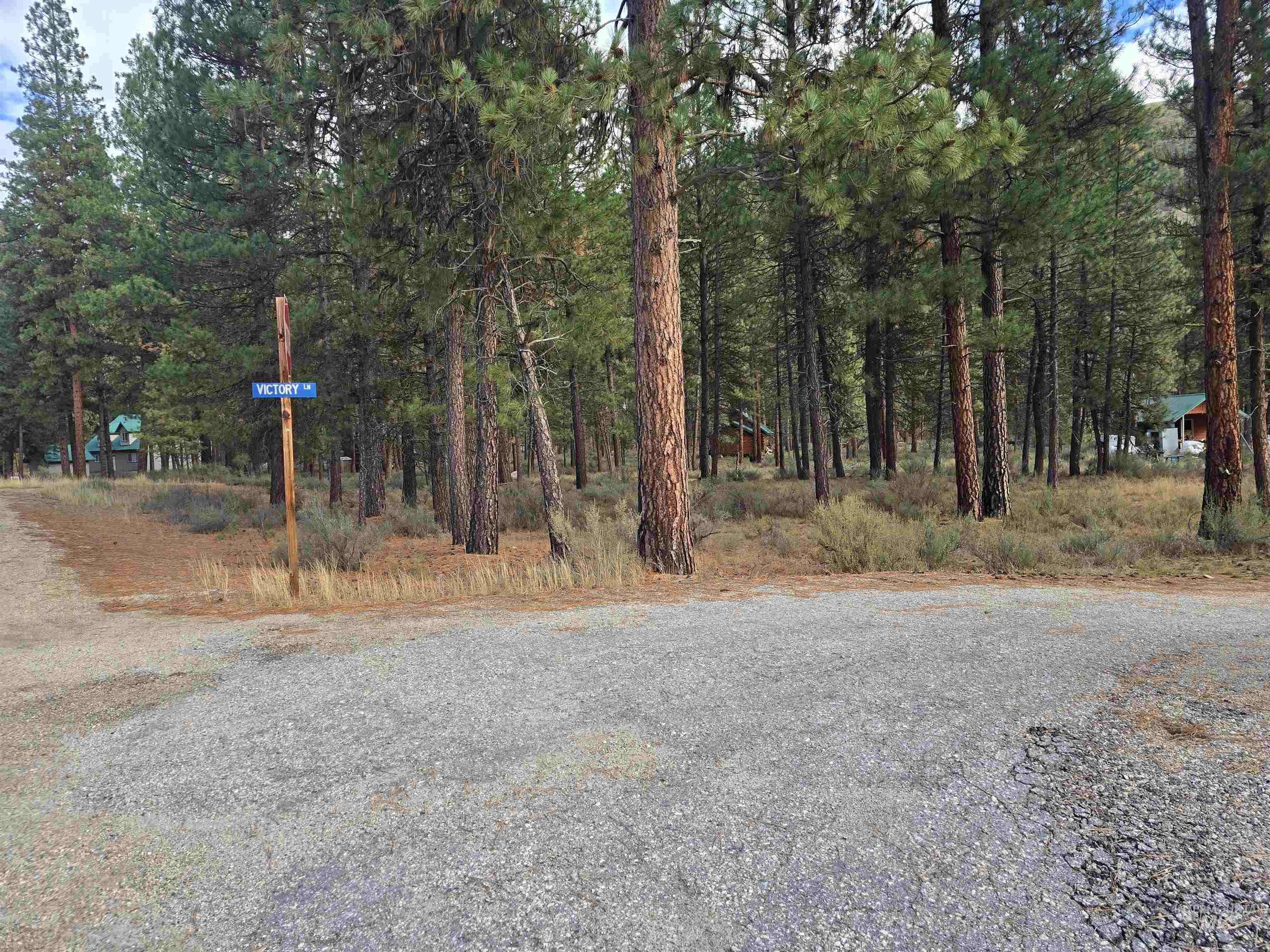 TBD Hwy 21 Lots 8,9, Lowman ID 83637