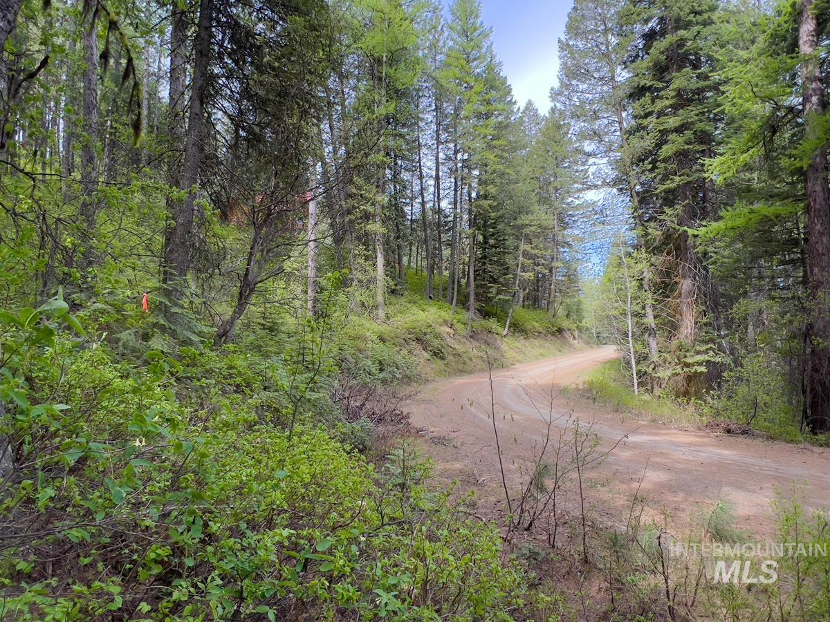 45 Landale Lane, Cascade ID 83611