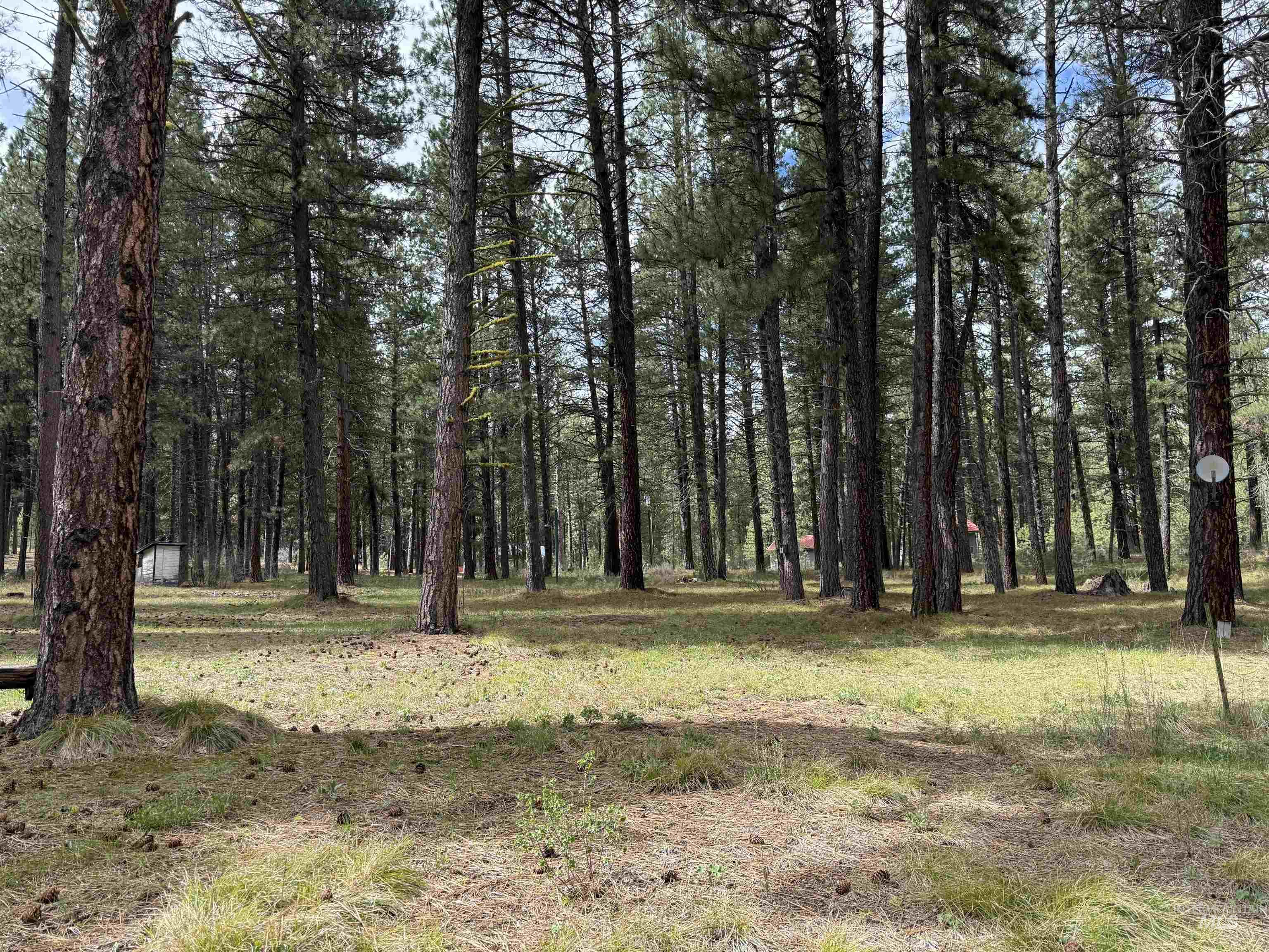 5 Ranft Dr, Idaho City ID 83631