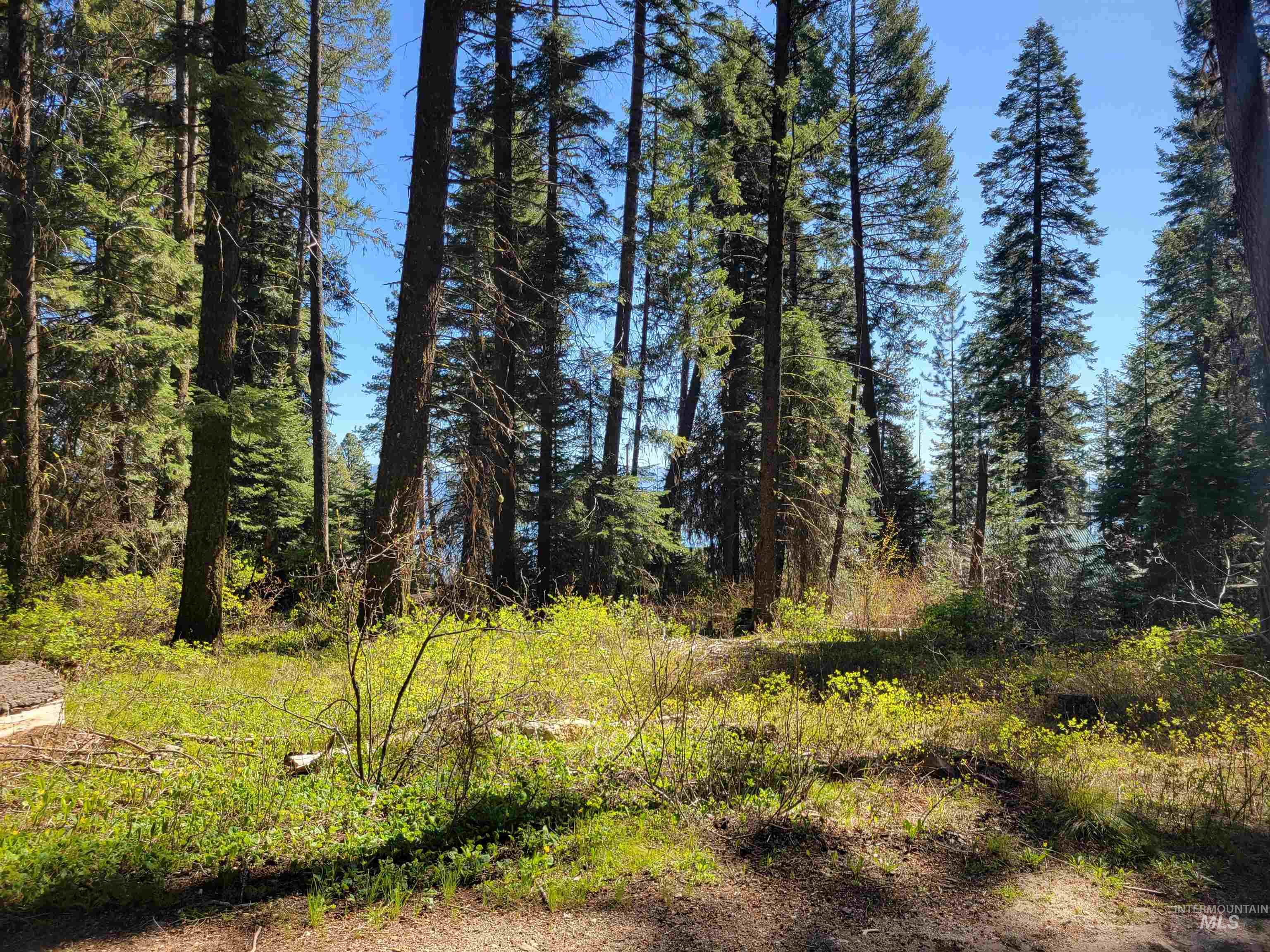 22 Melody Lane, Cascade ID 83611