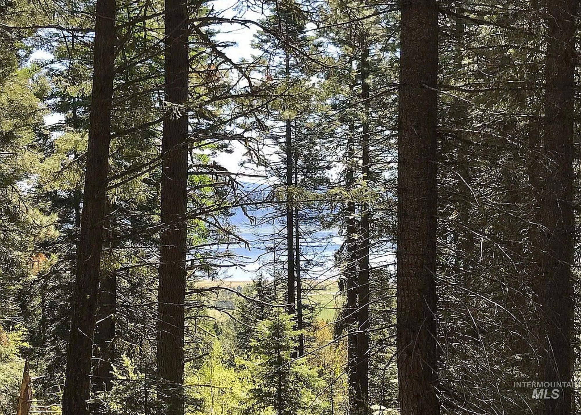 66 Hillside Trail, Donnelly ID 83615