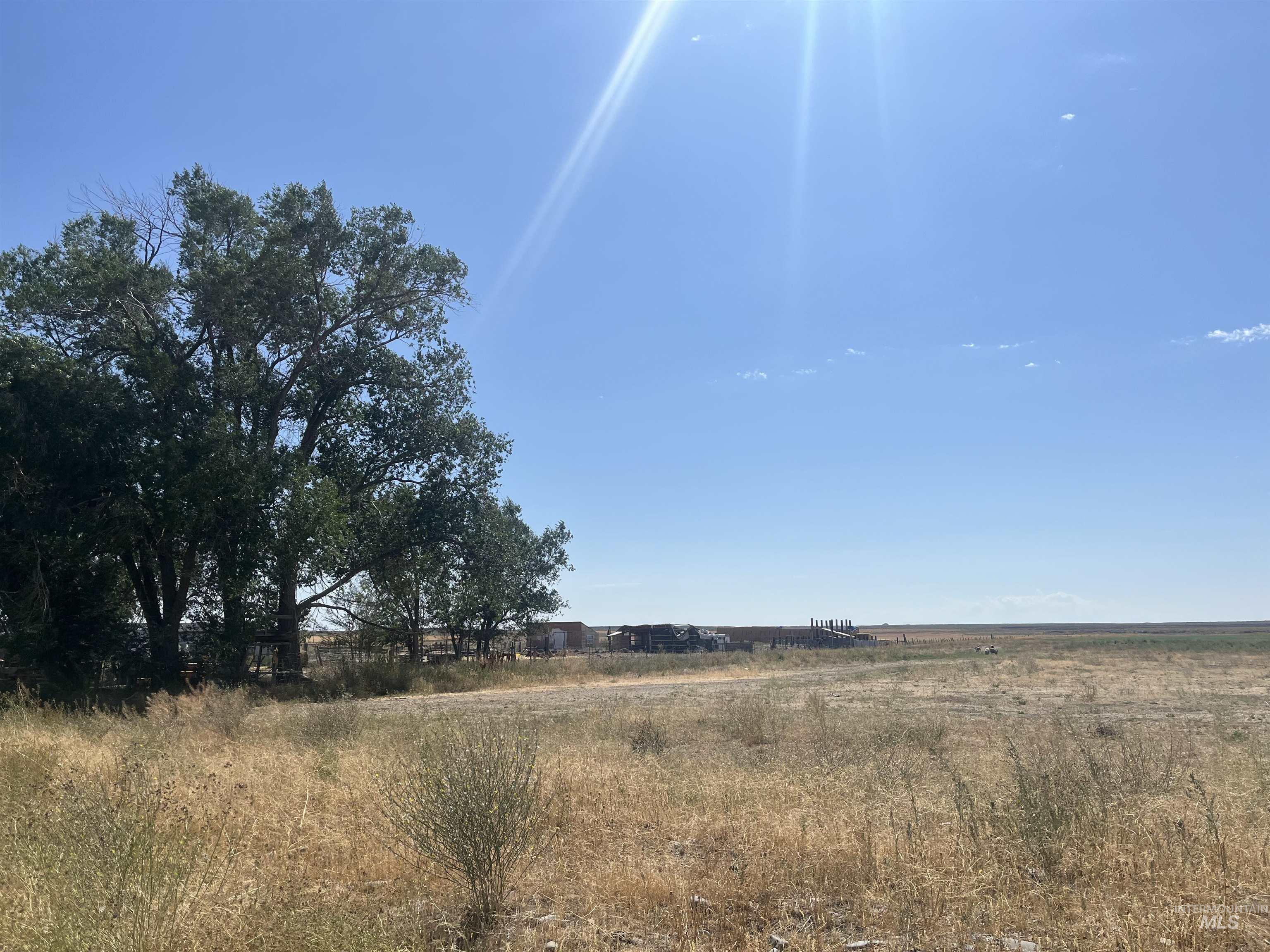 138 Laidlaw Park Road, Carey ID 83320-5000