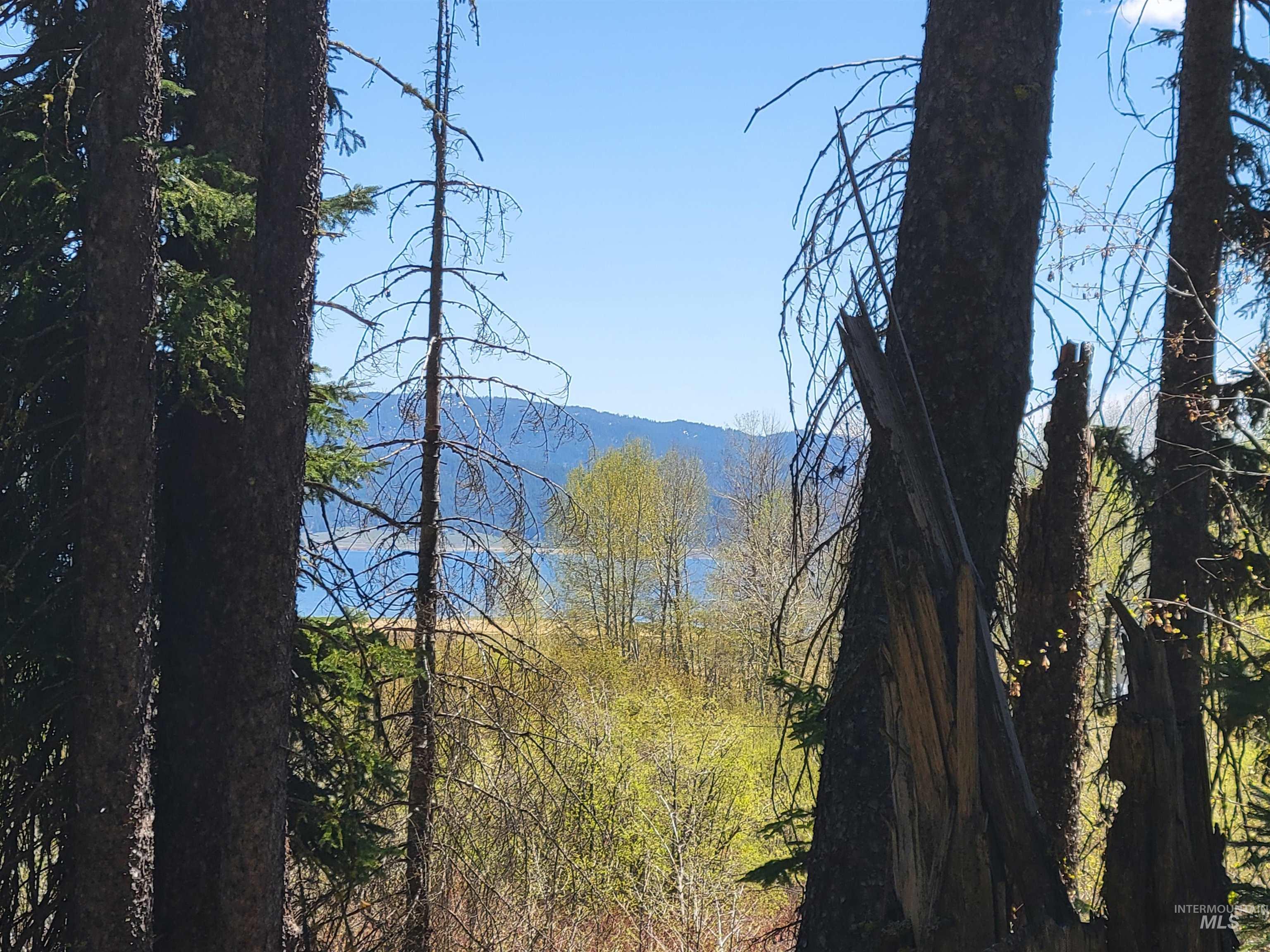 1602 Bear Trail Loop, Donnelly ID 83615