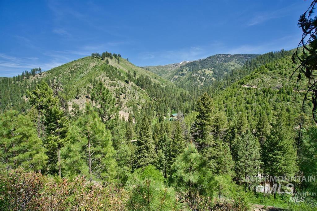 tbd Forest Service Rd 542, Lowman ID 83637