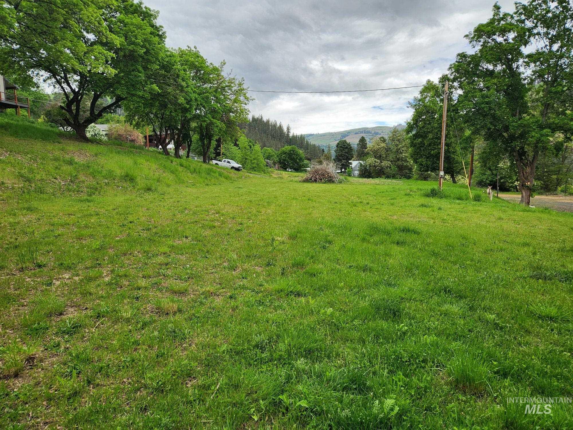 TBD N Marion St, Peck ID 83545