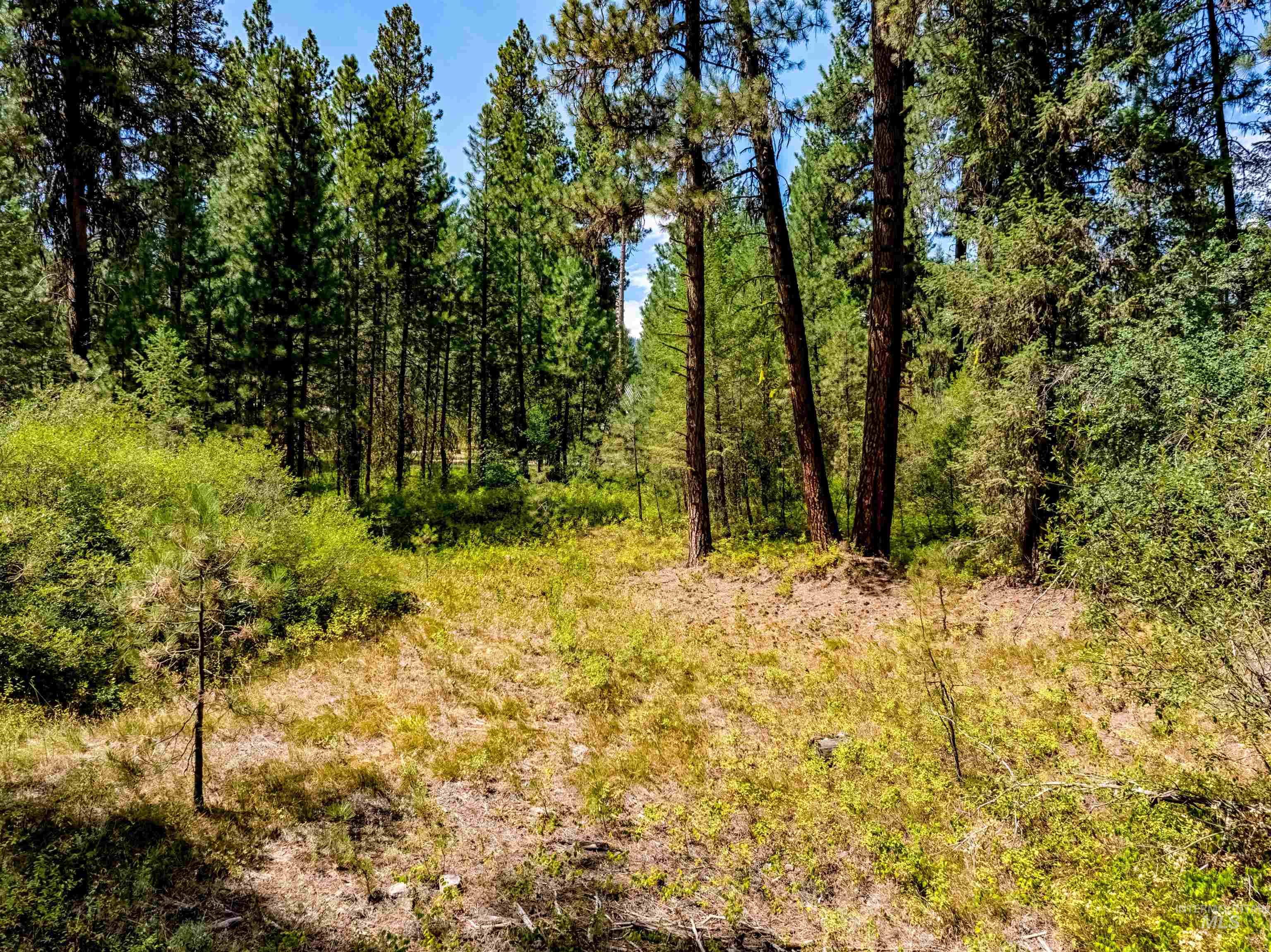 LOT 32 Boise Holcomb Sub 3, Boise ID 83716