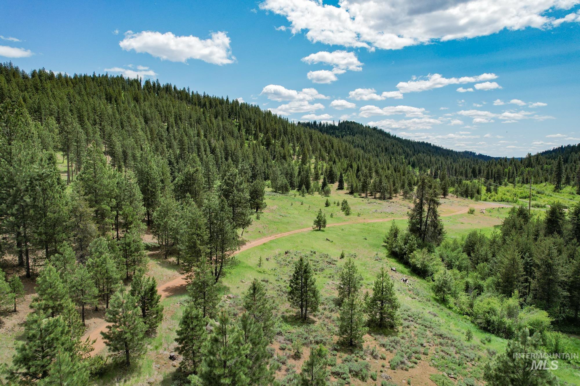 TBD Highway 95, New Meadows ID 83654