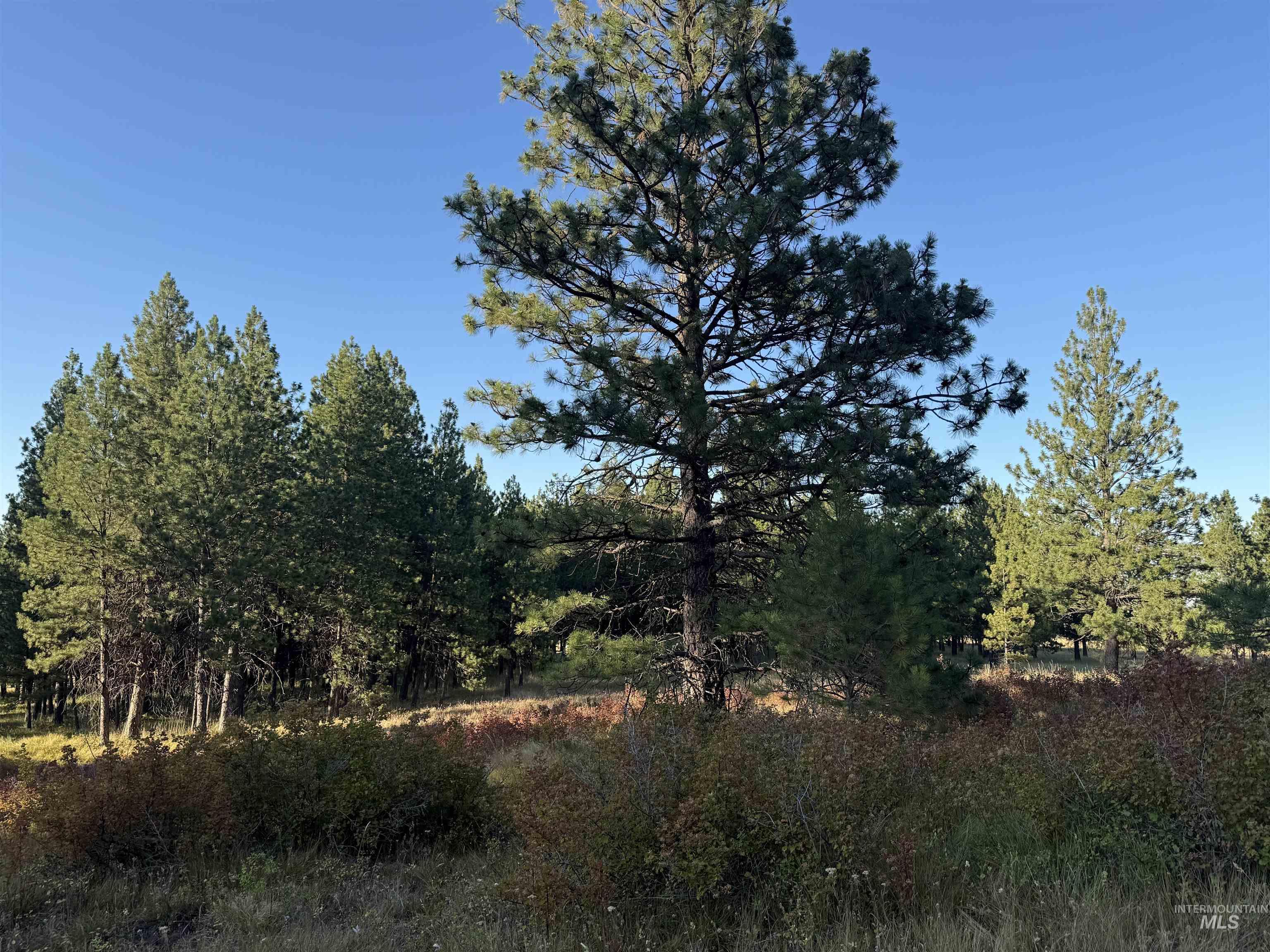 TBD Harlow Ridge Rd - Cloverland Estates 26, Asotin WA 99402