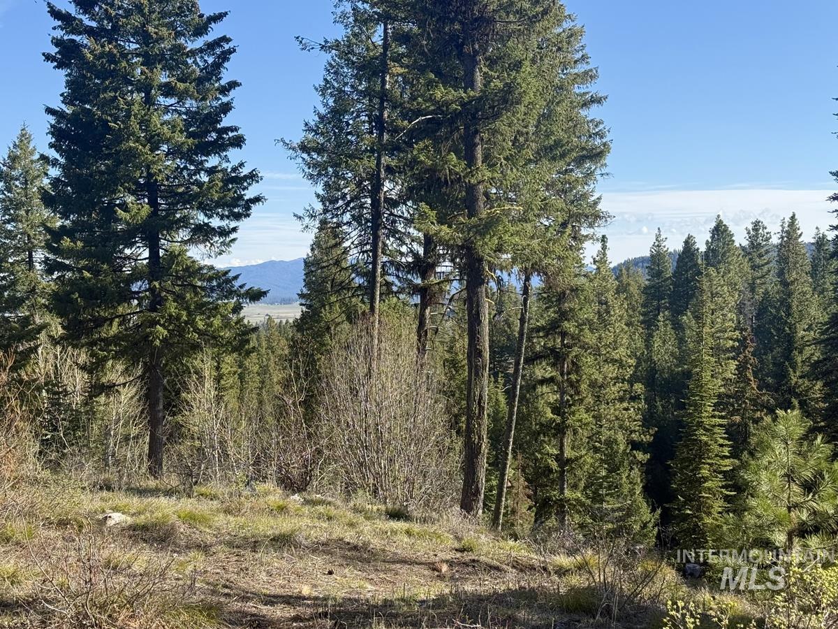 Lot 5 Urban Lane, Cascade ID 83611