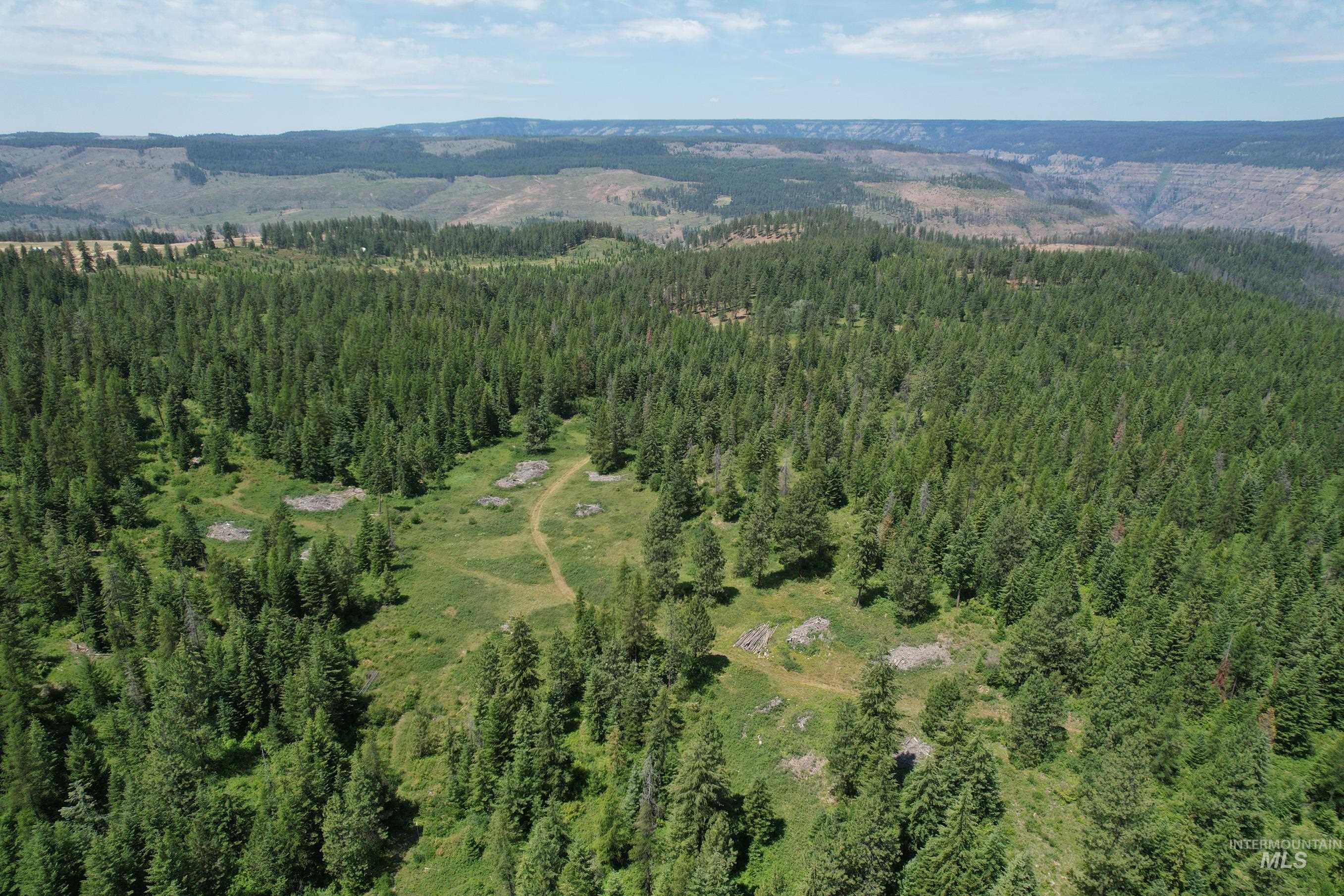 TBD Sickfoot Road, Wallowa OR 97885
