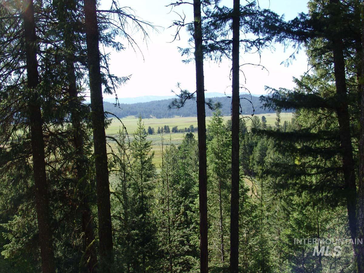 L1 B2 San Ignacio Way, Cascade ID 83611