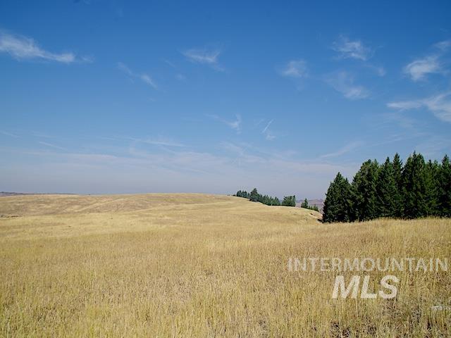 TBD Ditch Creek Road, Council ID 83612