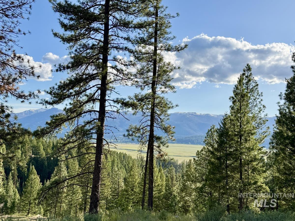 18 Tito Trail, Cascade ID 83611