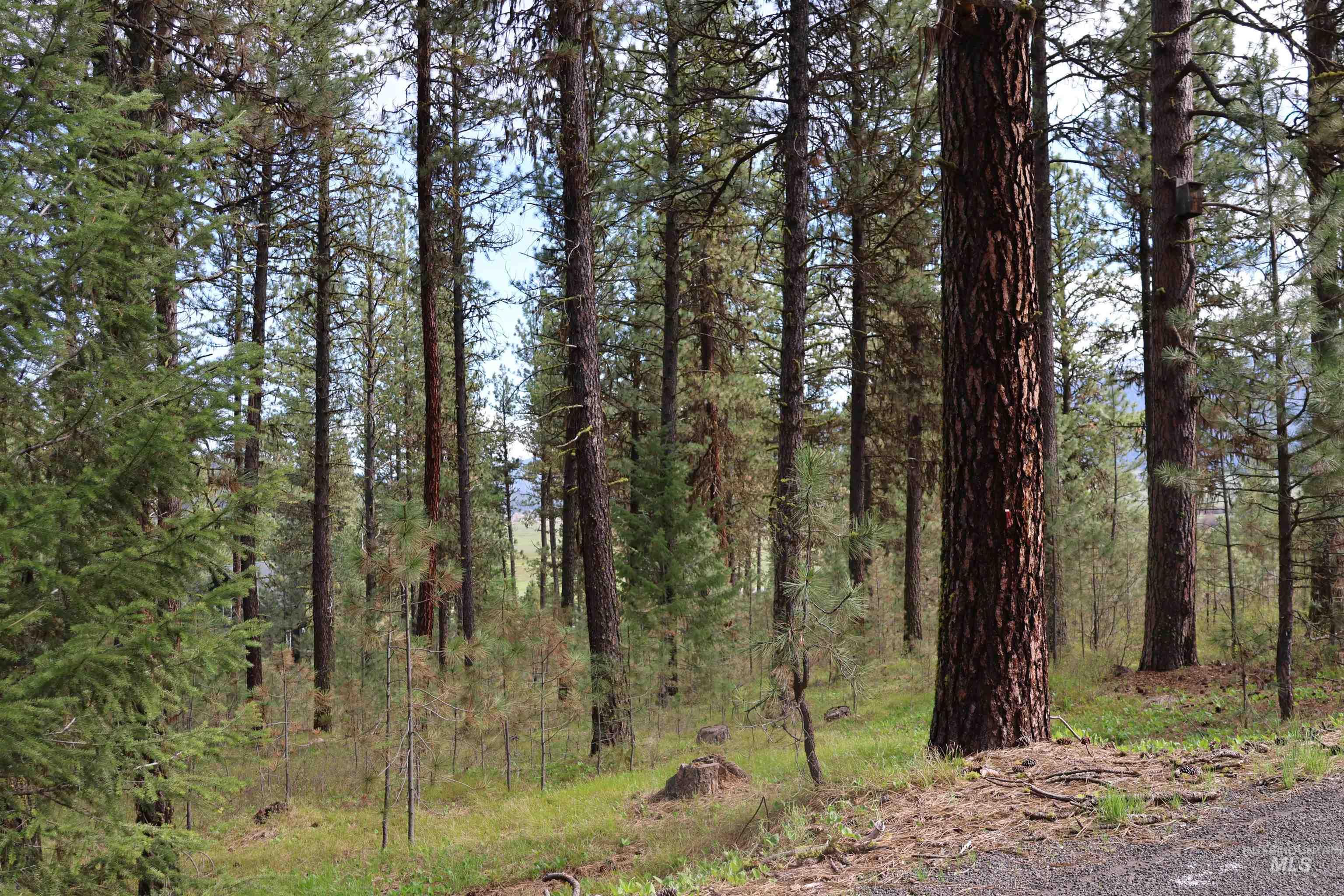 Lot 6 Hot Springs Road, New Meadows ID 83654-0000