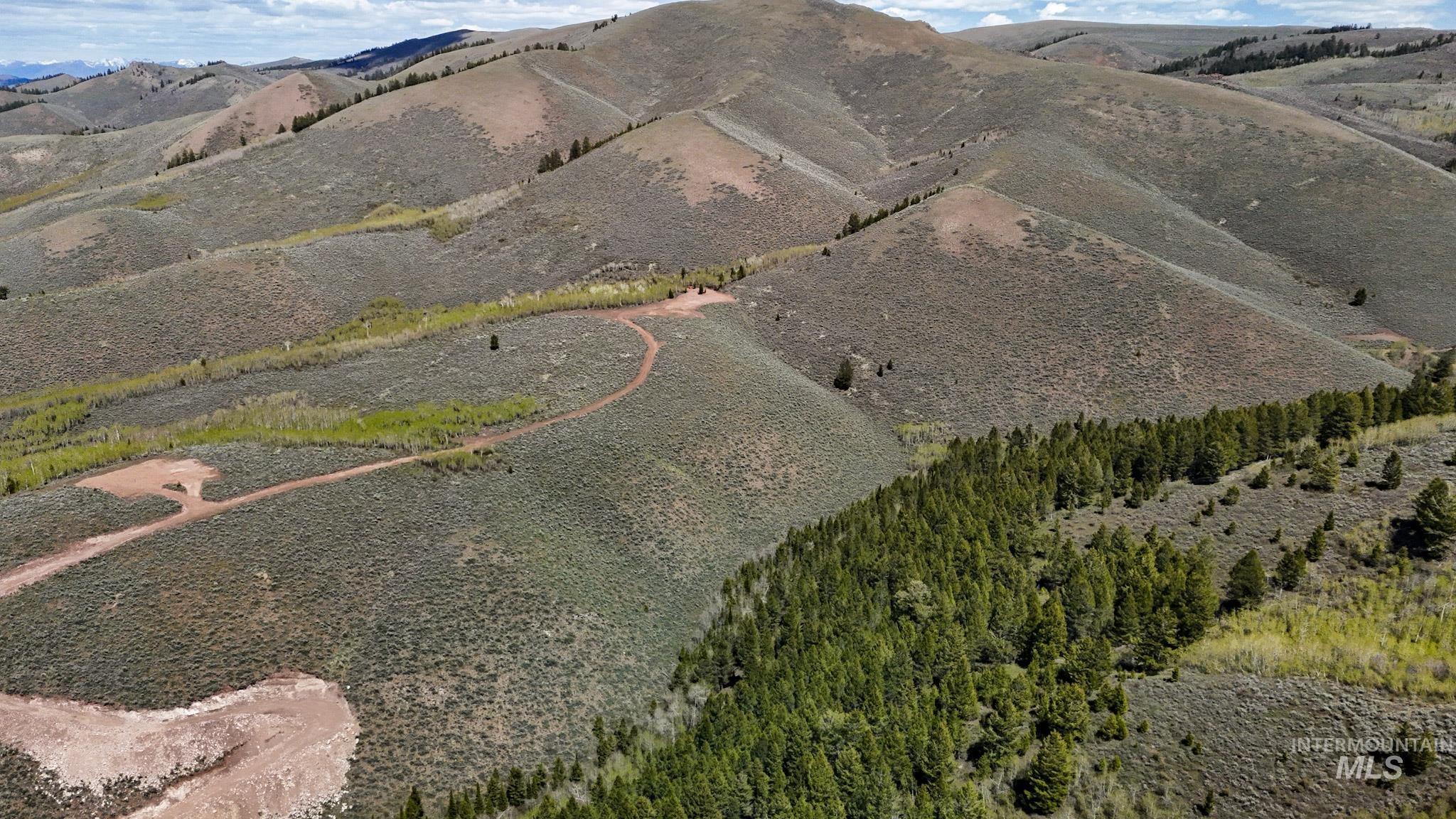 TBD White Ridge Rd, Soda Springs ID 83276