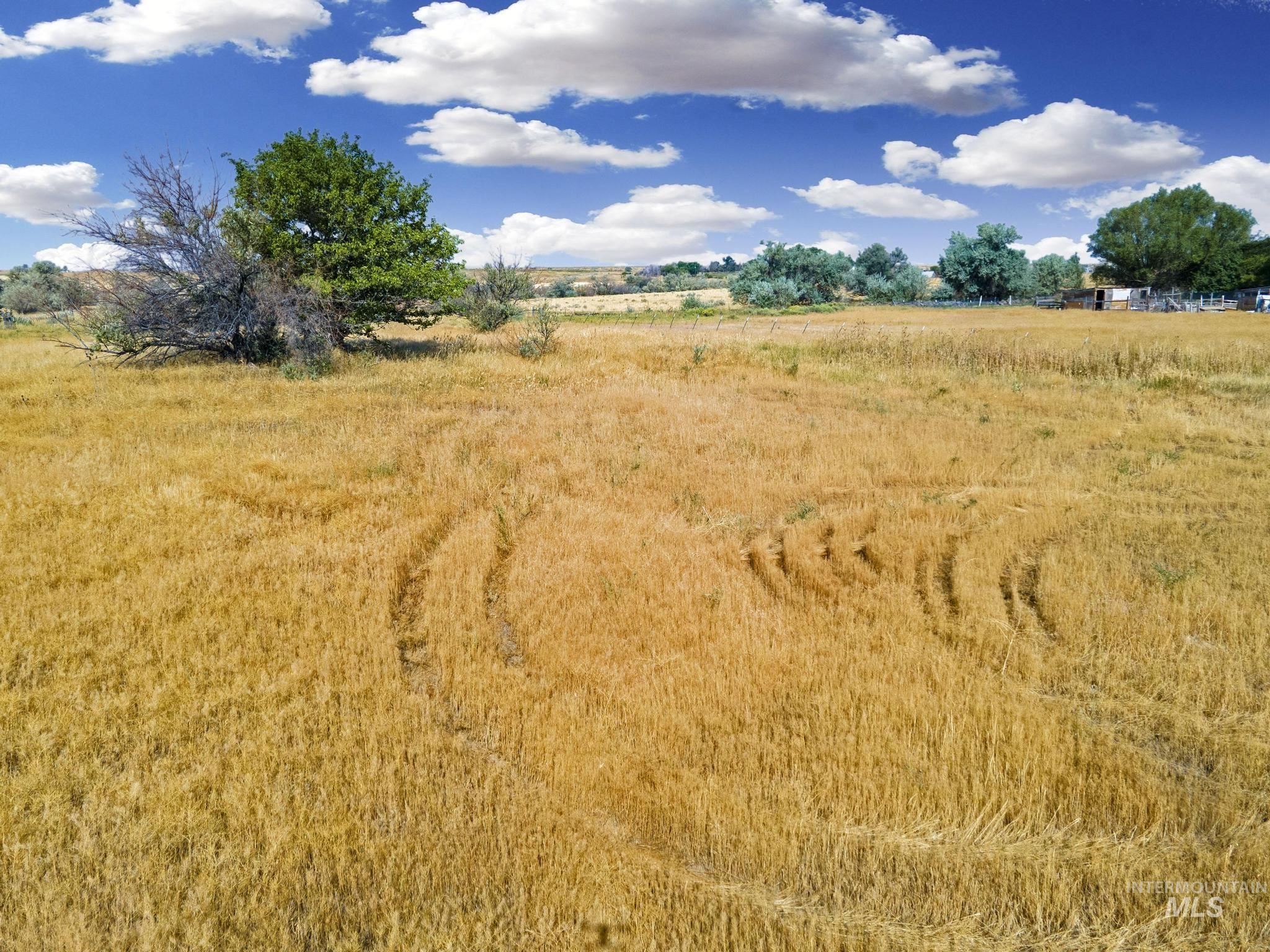 TBD Lot 8 Block 4 Dietrich West Subdivision, Dietrich ID 83324
