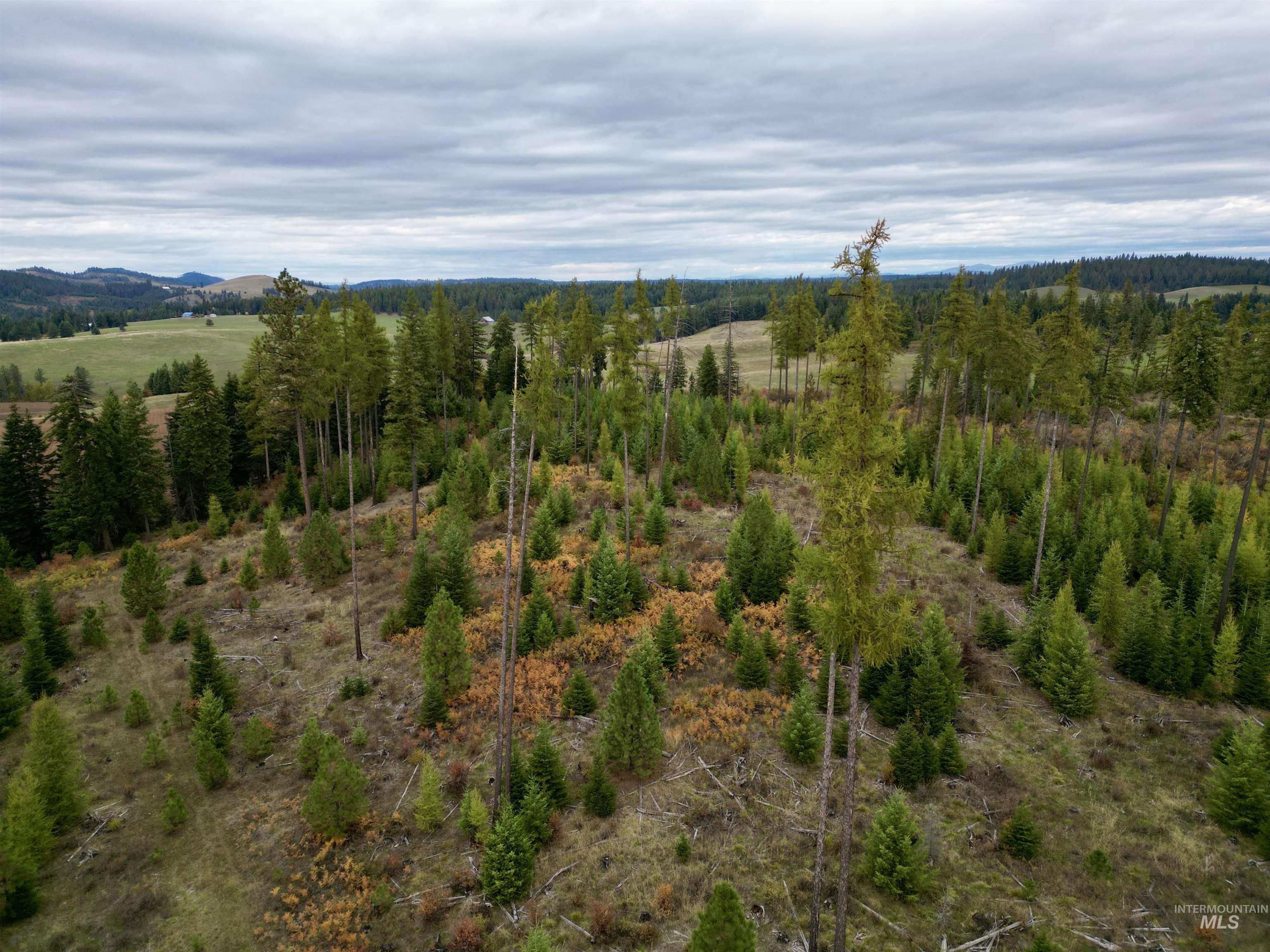 TBD Parcel 2 Peaceful Valley Rd, Kamiah ID 83536