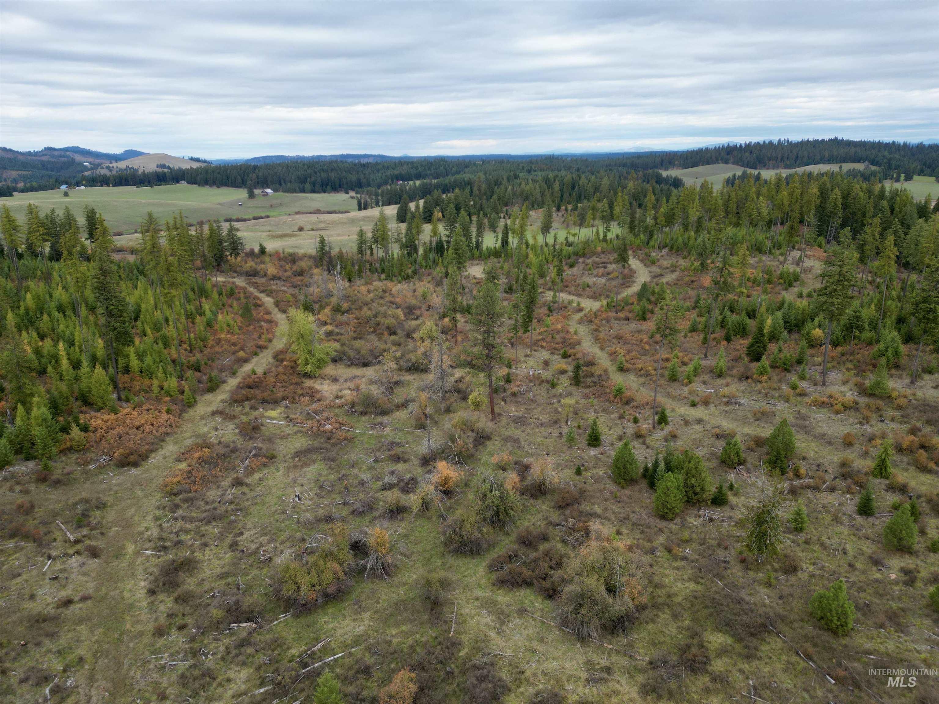TBD Parcel 3 Peaceful Valley Rd., Kamiah ID 83536