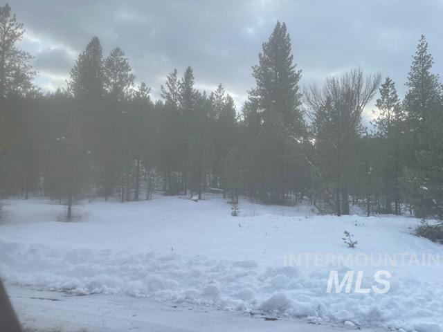 48 W Pine Add, New Meadows ID 83654
