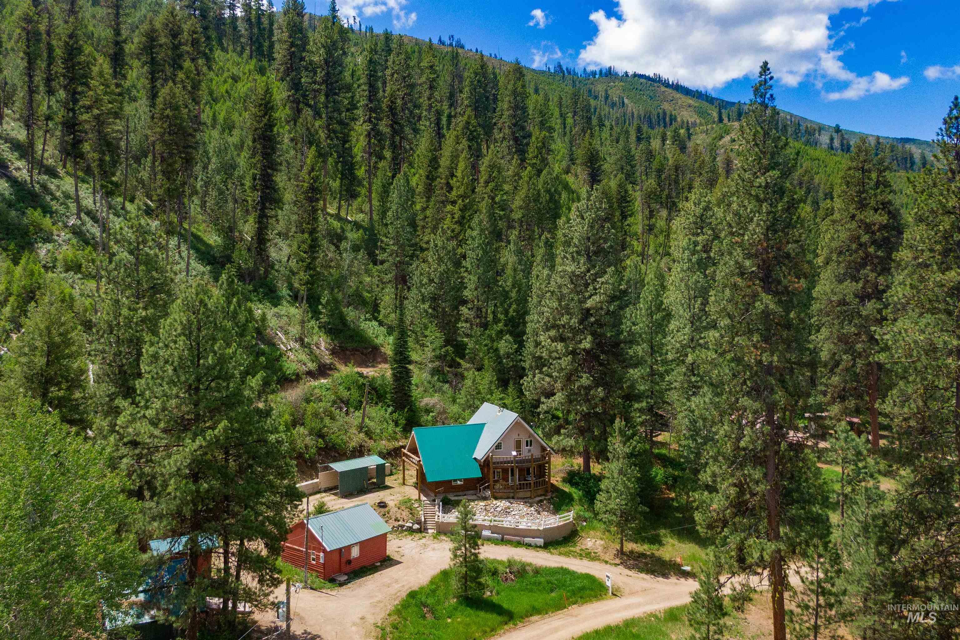 123 Alder Dr, Lowman ID 83637