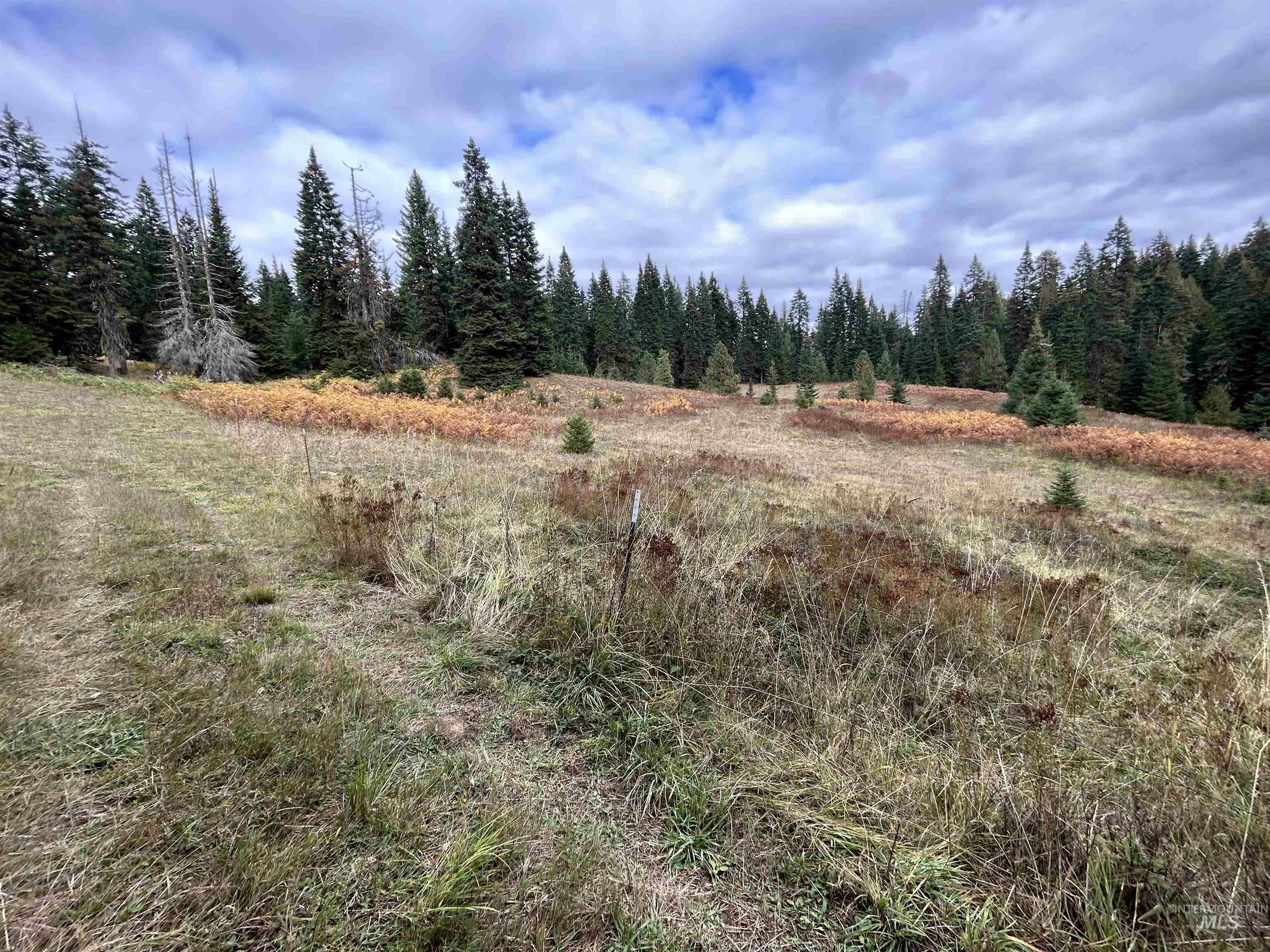TBD LOT 3 Glenwood Road, Kamiah ID 83536