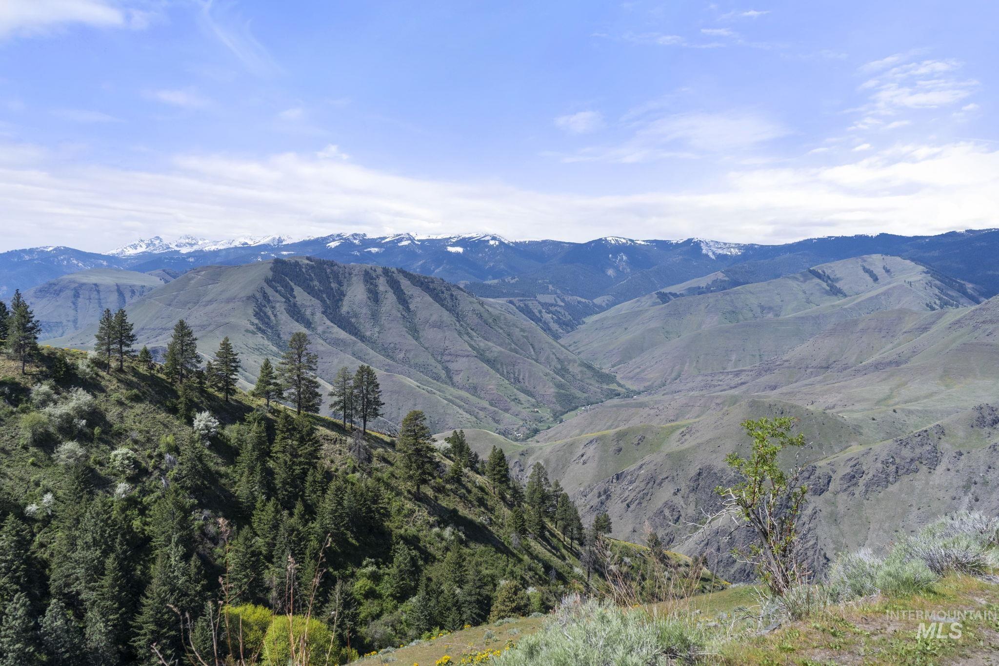 TBD Lightning Creek, Riggins ID 83549