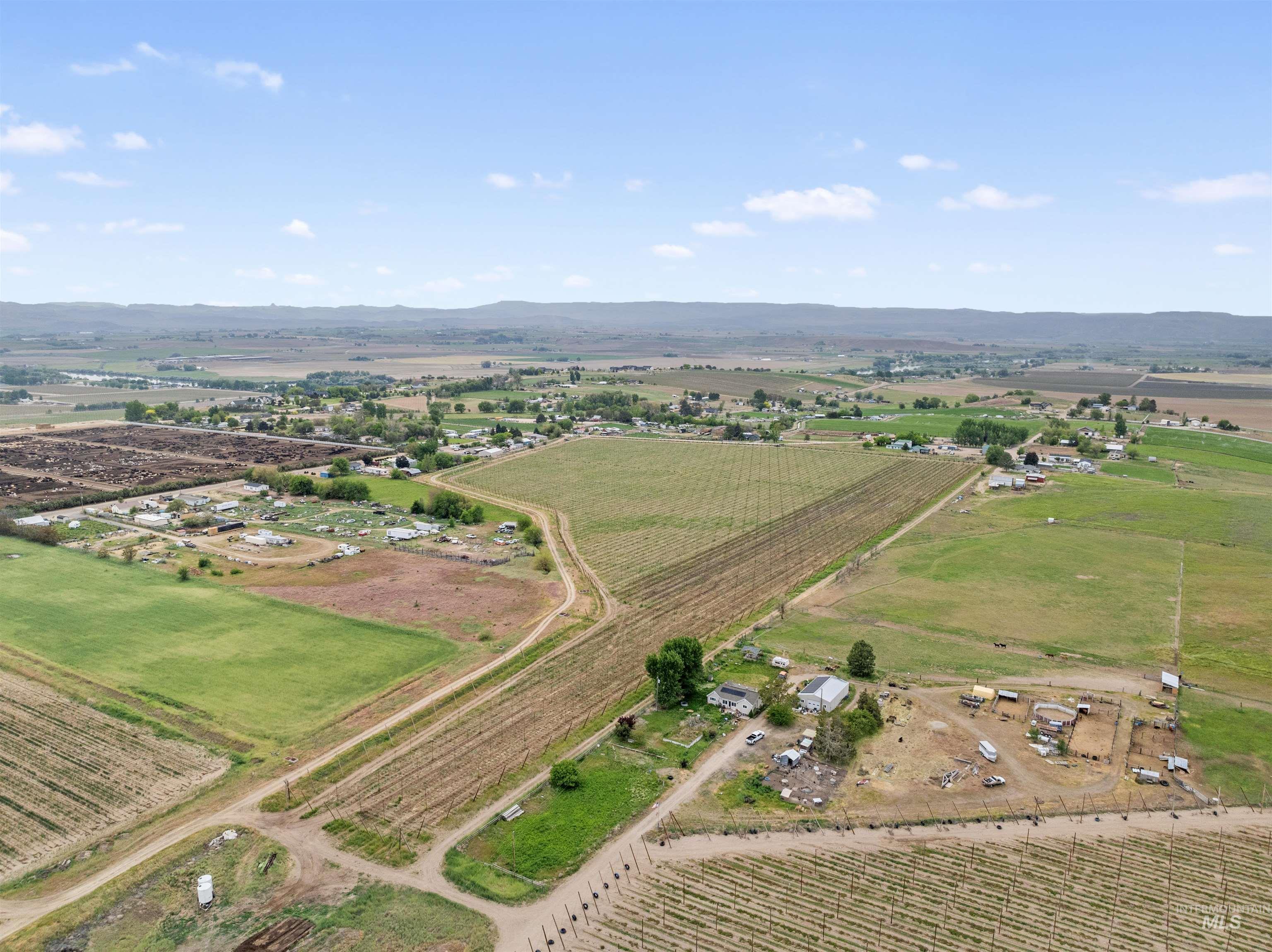 TBD Peckham Rd, Wilder ID 83676