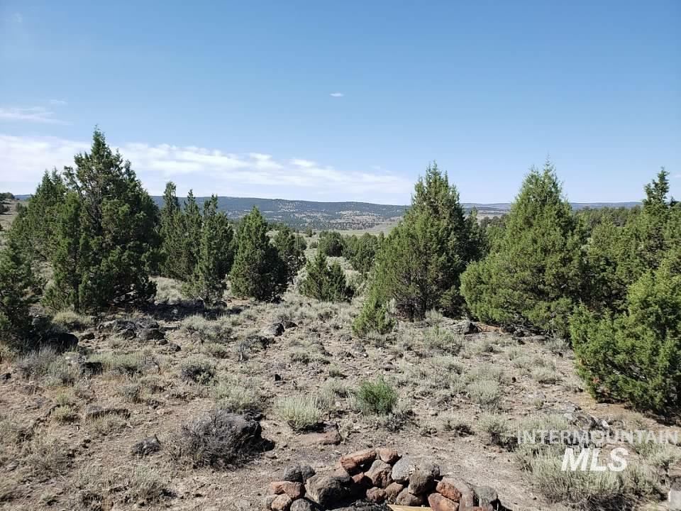 Tract 44 Triangle Ranch, Murphy ID 83650