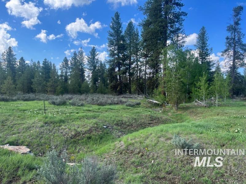 29 Fawnlilly Drive, McCall ID 83638