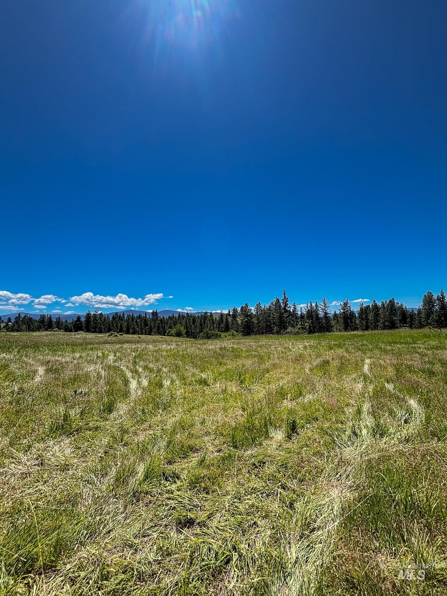 180 Williams Road, Kooskia ID 83439