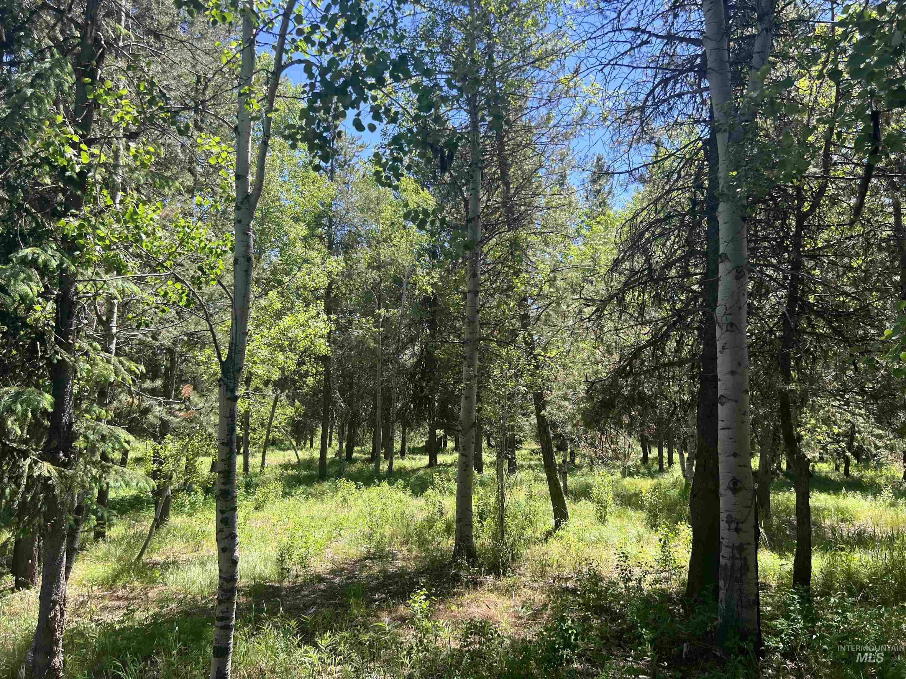 Lot 1 Chad Drive, McCall ID 83638