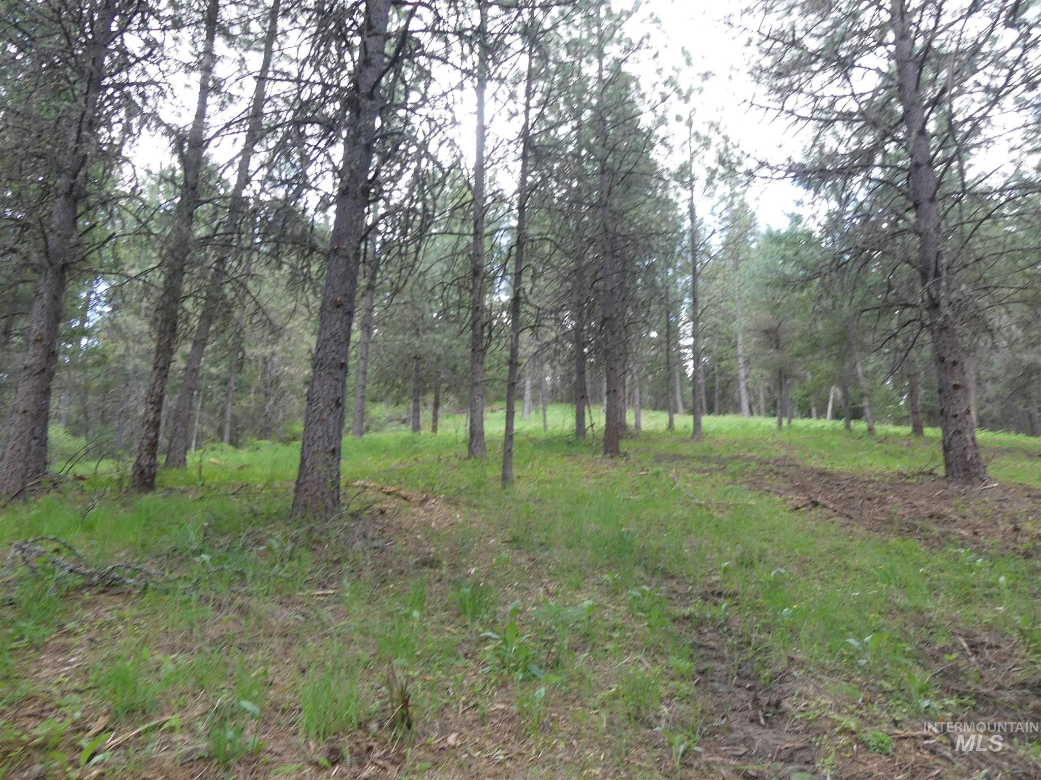22743 Old Melrose Grade, Peck ID 83545