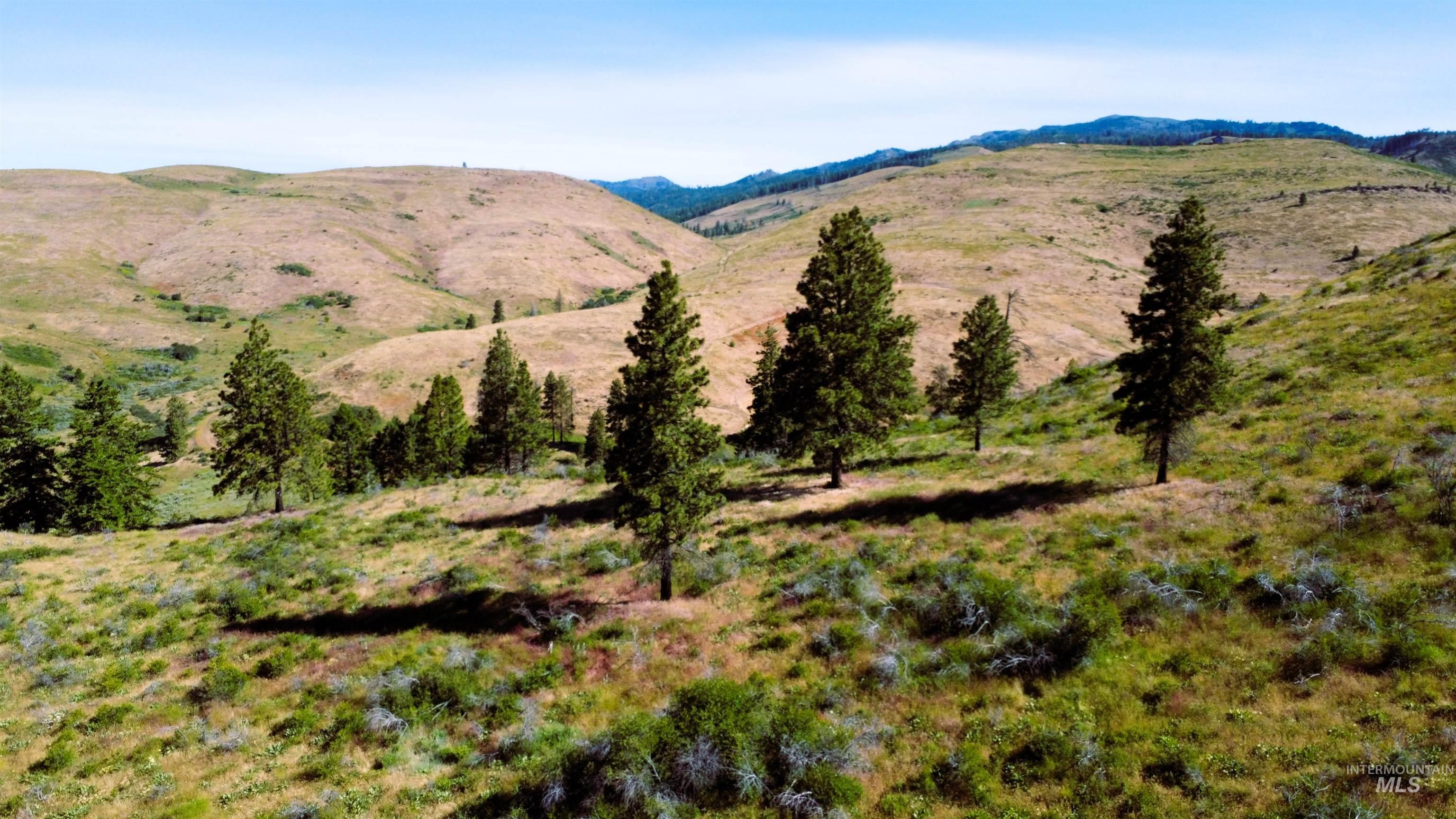 TBD Advent Gulch Rd., Cambridge ID 83610