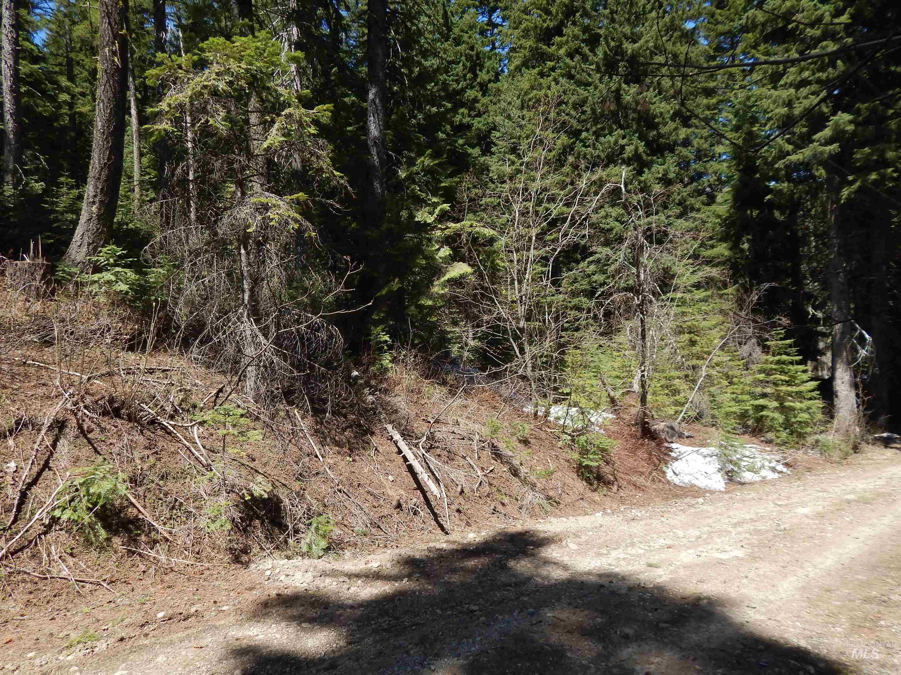 1601 Bear Trail Loop, Donnelly ID 83615