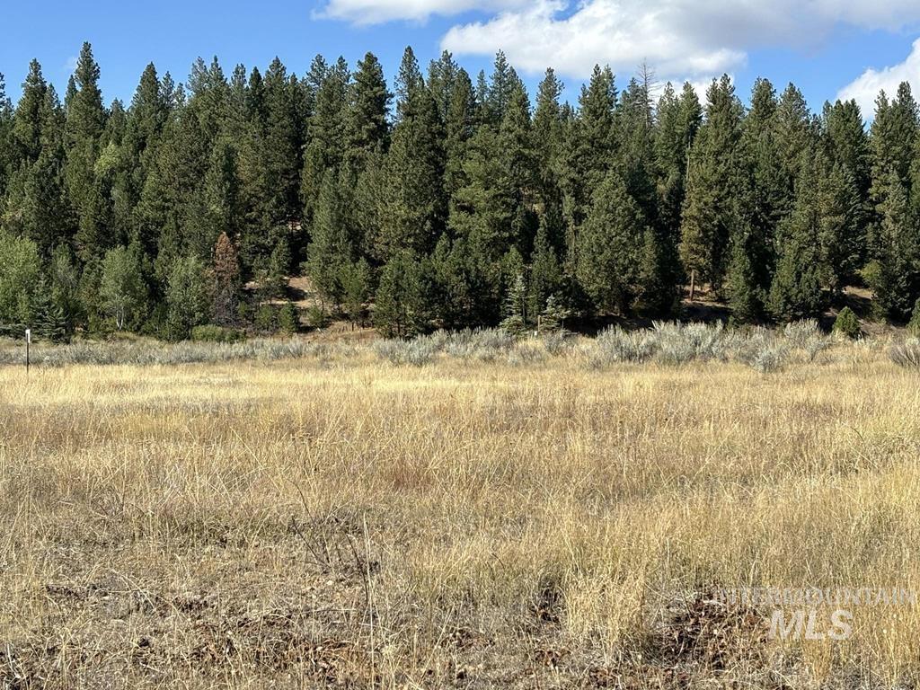 13 Fawnlilly, McCall ID 83638
