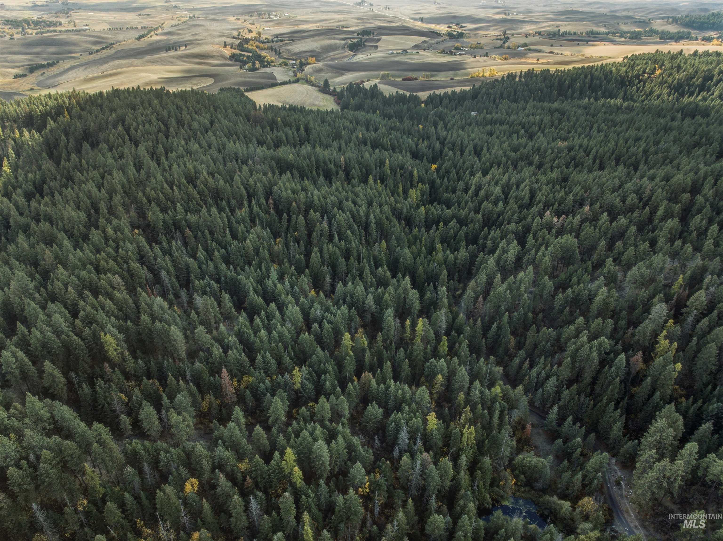 TBD Foothill Rd, Moscow ID 83843