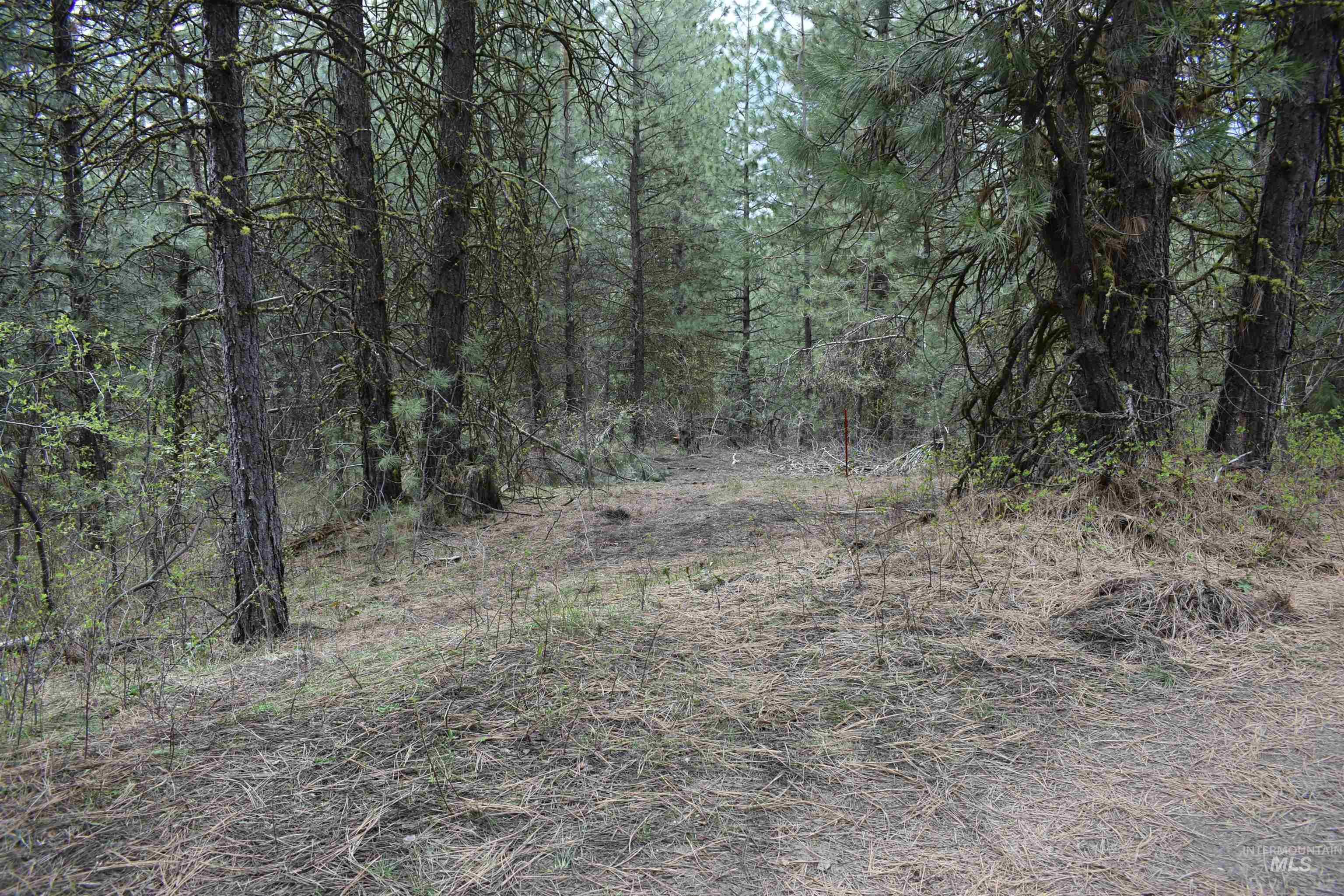 TBD Outlaw Trail, Banks ID 83602