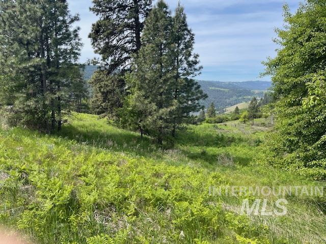TBD Sunnyside Bench Rd., Lenore ID 83541