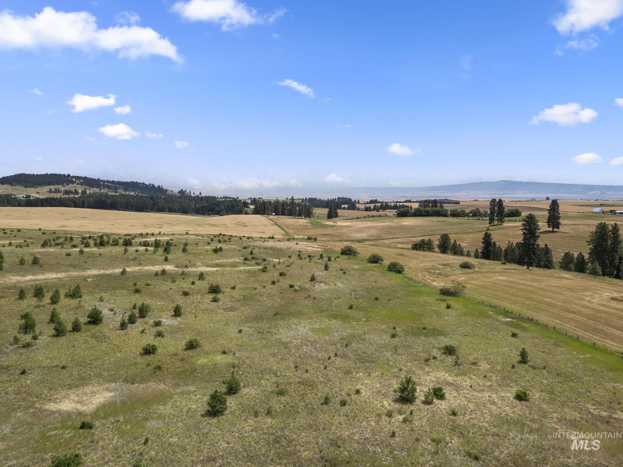 TBD Keuterville Road, CottonWood ID 83522