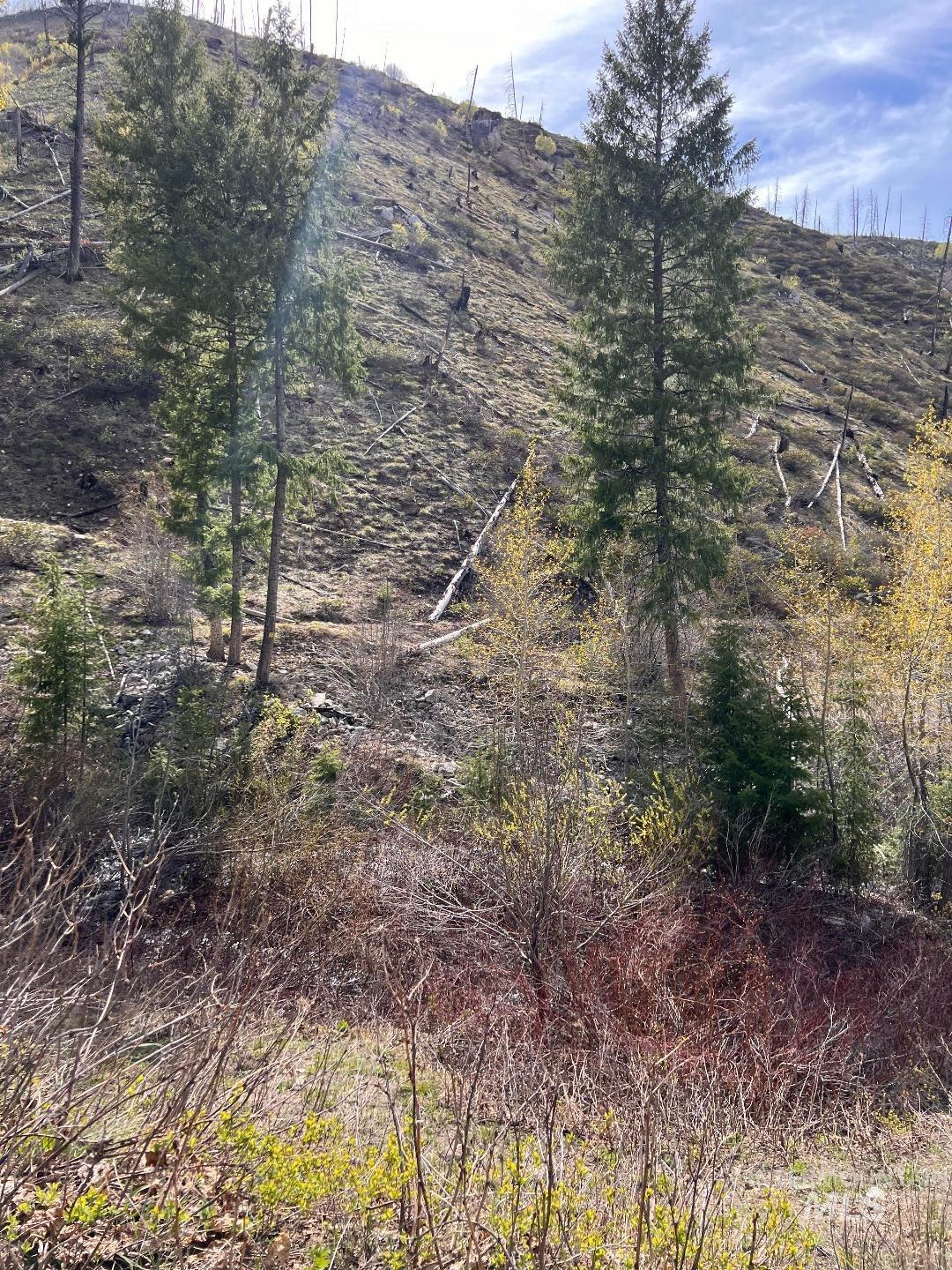 Quartz Creek Rd., Atlanta ID 83647
