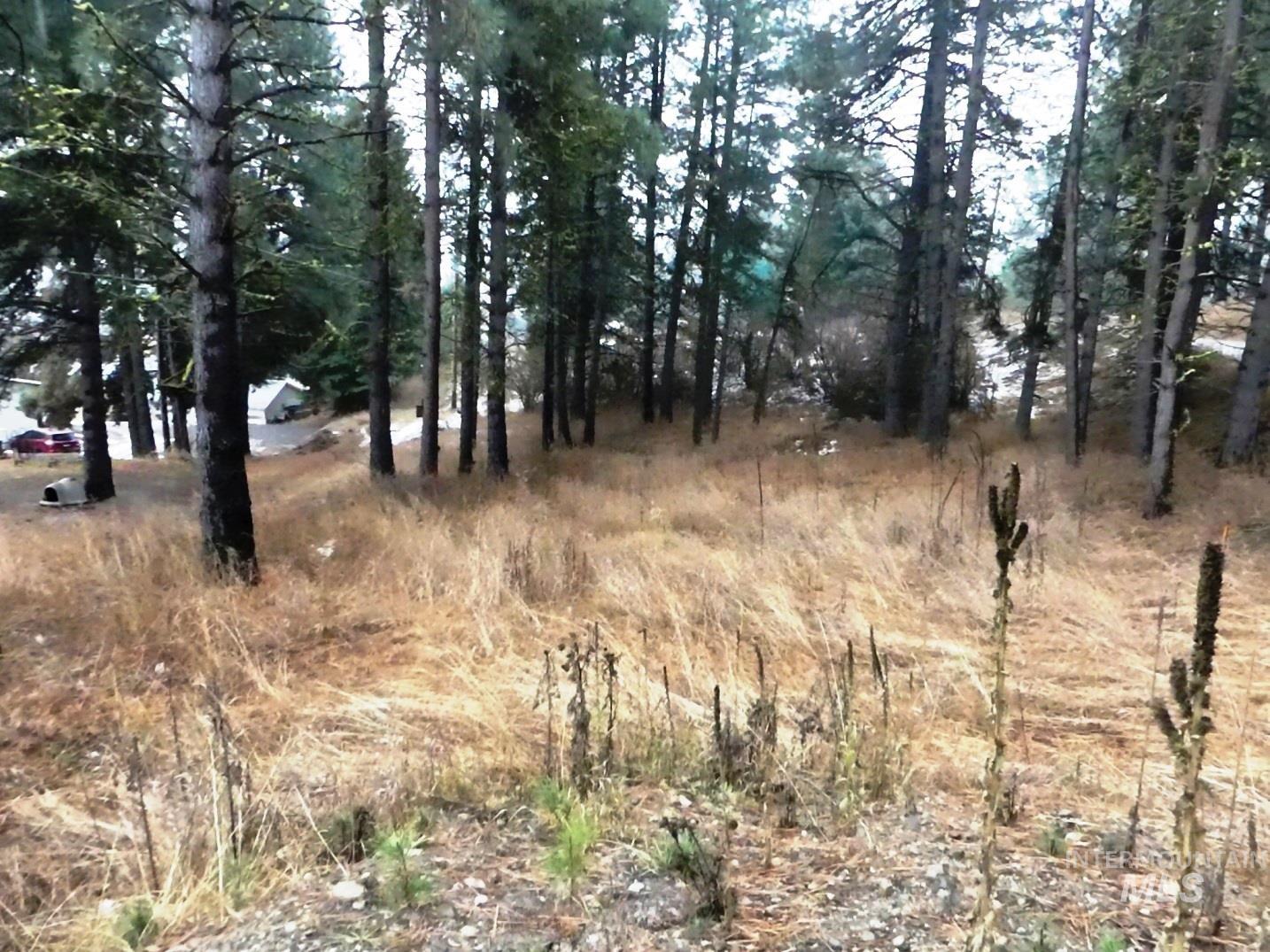 614 Crawford Ave, Cascade ID 83611
