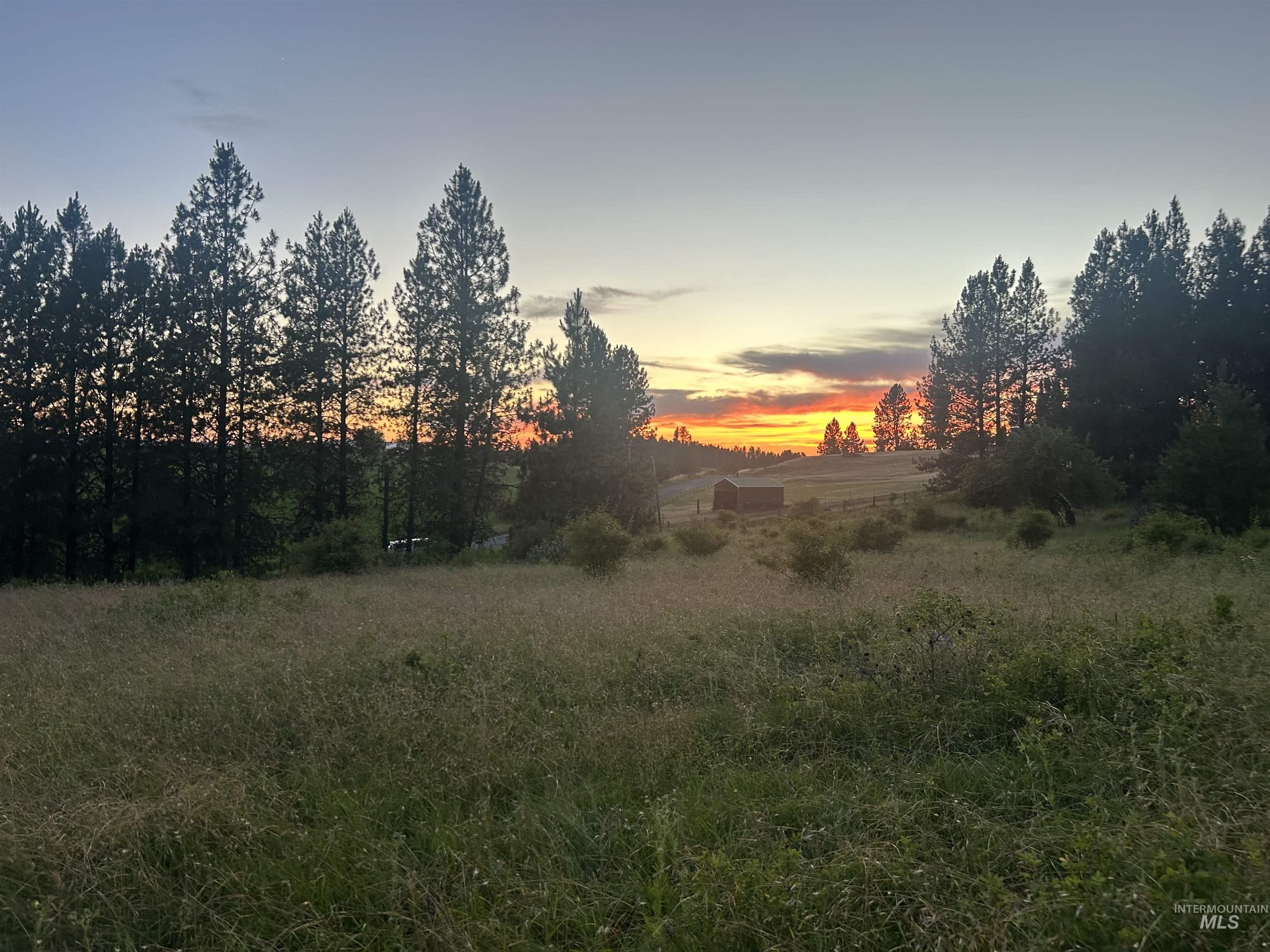 TBD Lot 2 Too Kush Road, Kooskia ID 83539