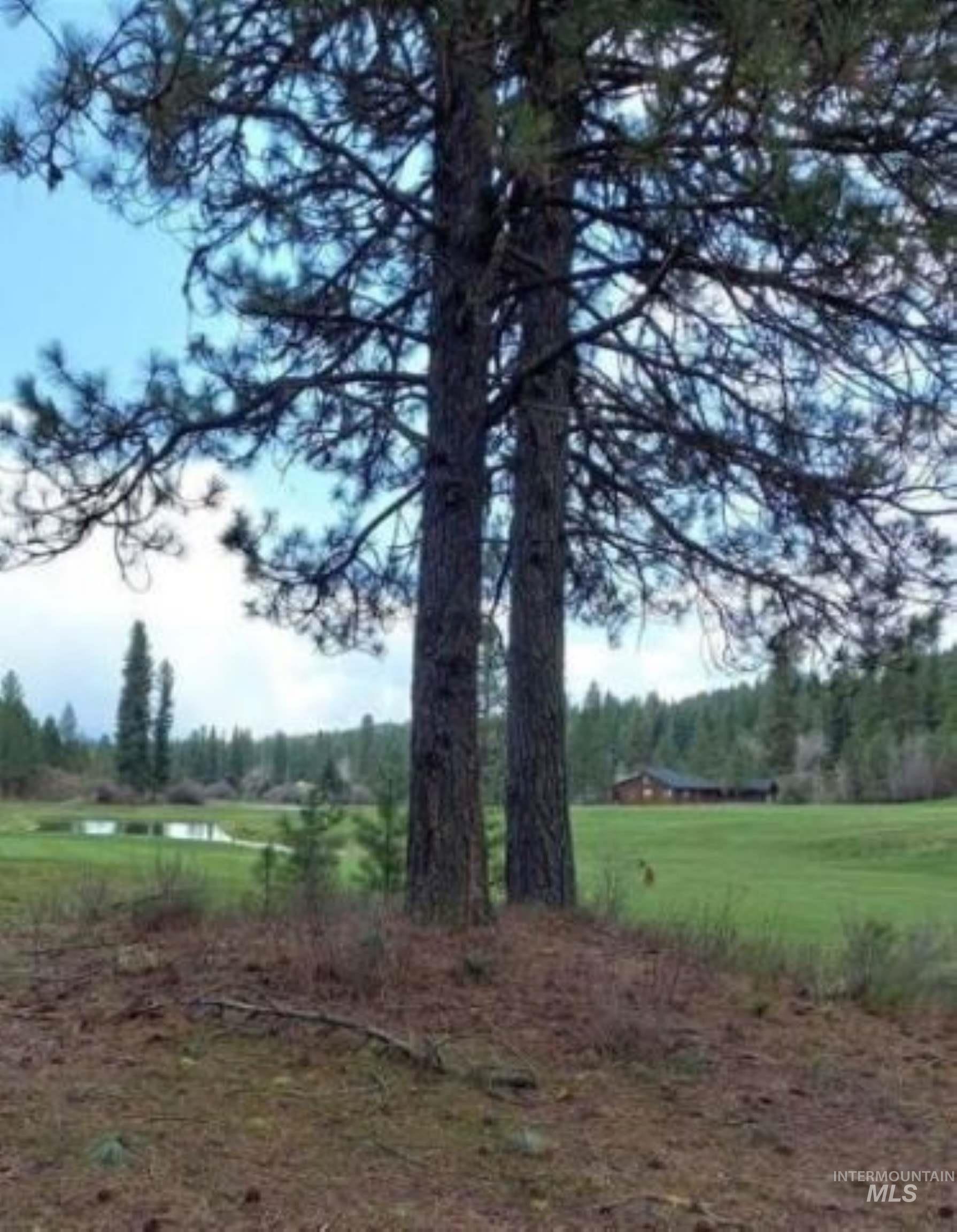 Lt 47 Blk 13 Kimberland Drive, New Meadows ID 83654