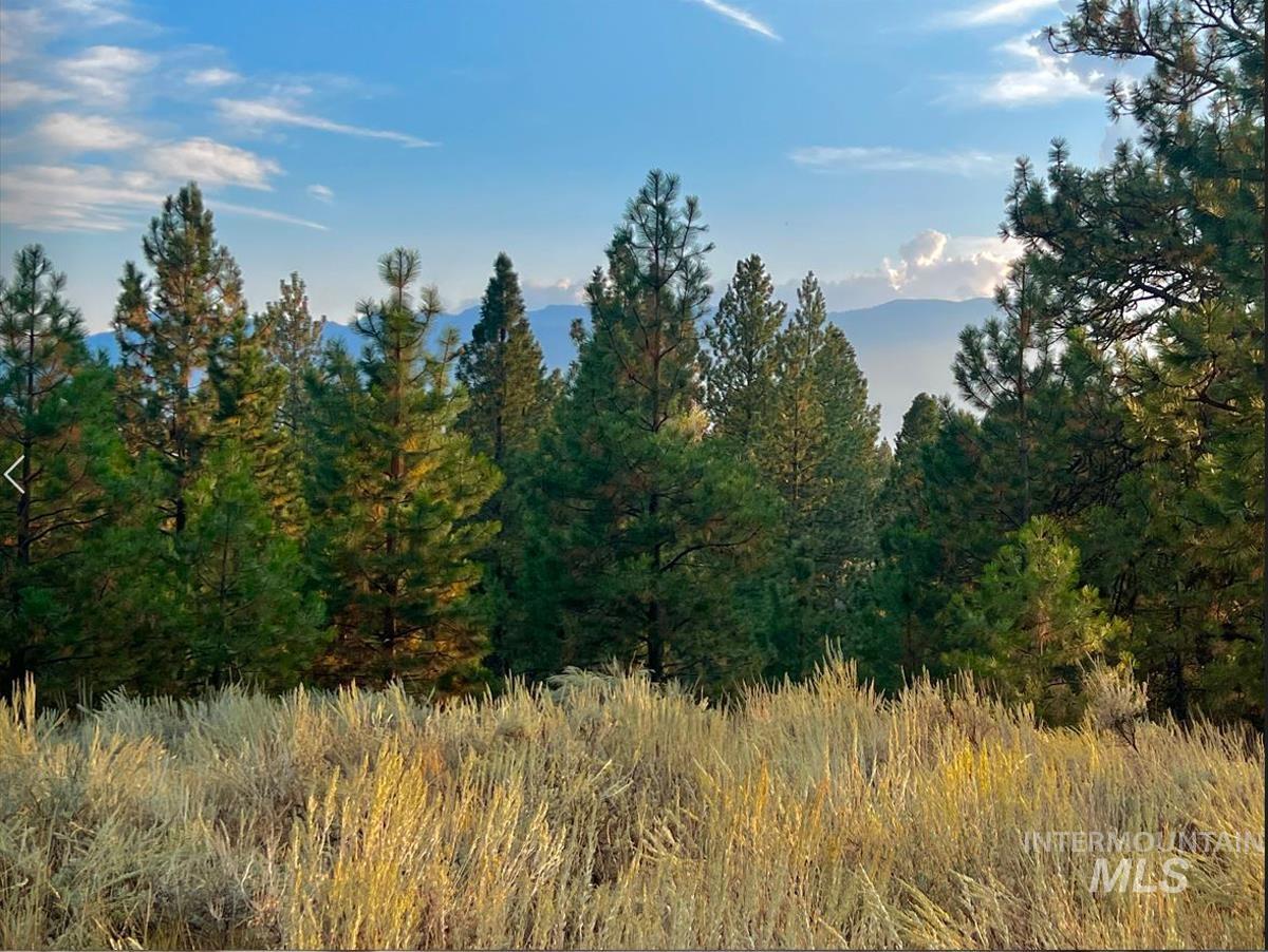 30 Four Seasons Drive, Cascade ID 83611