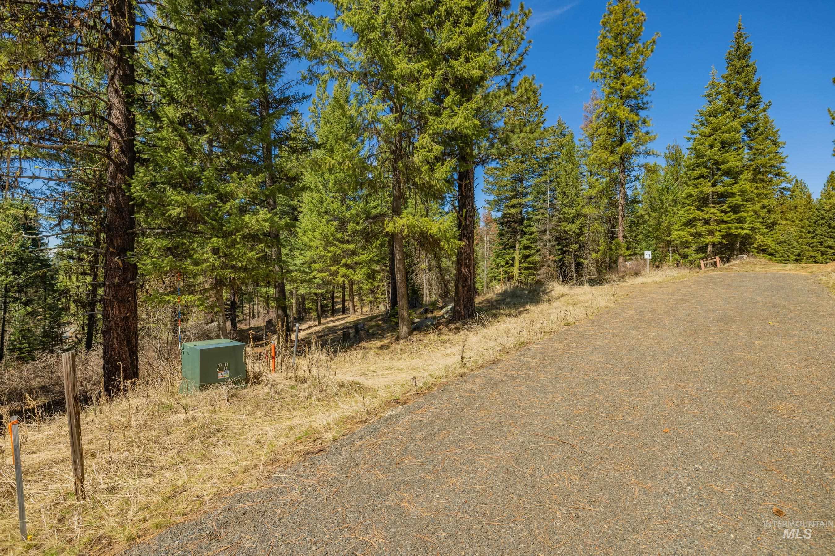 8 York Street, McCall ID 83638
